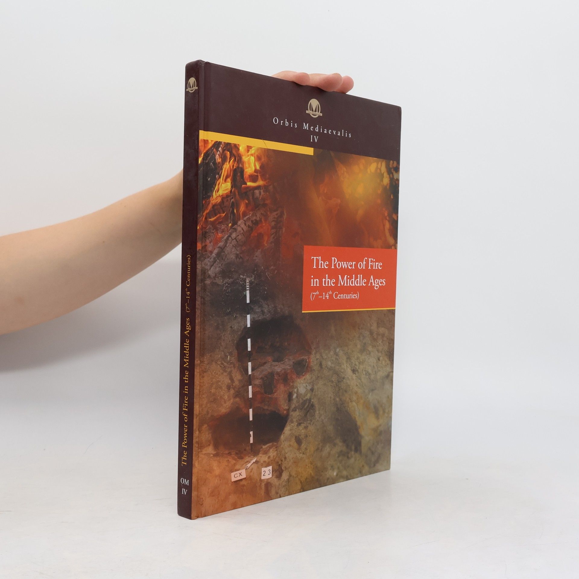 Kolektiv autorů The Power of Fire in the Middle Ages