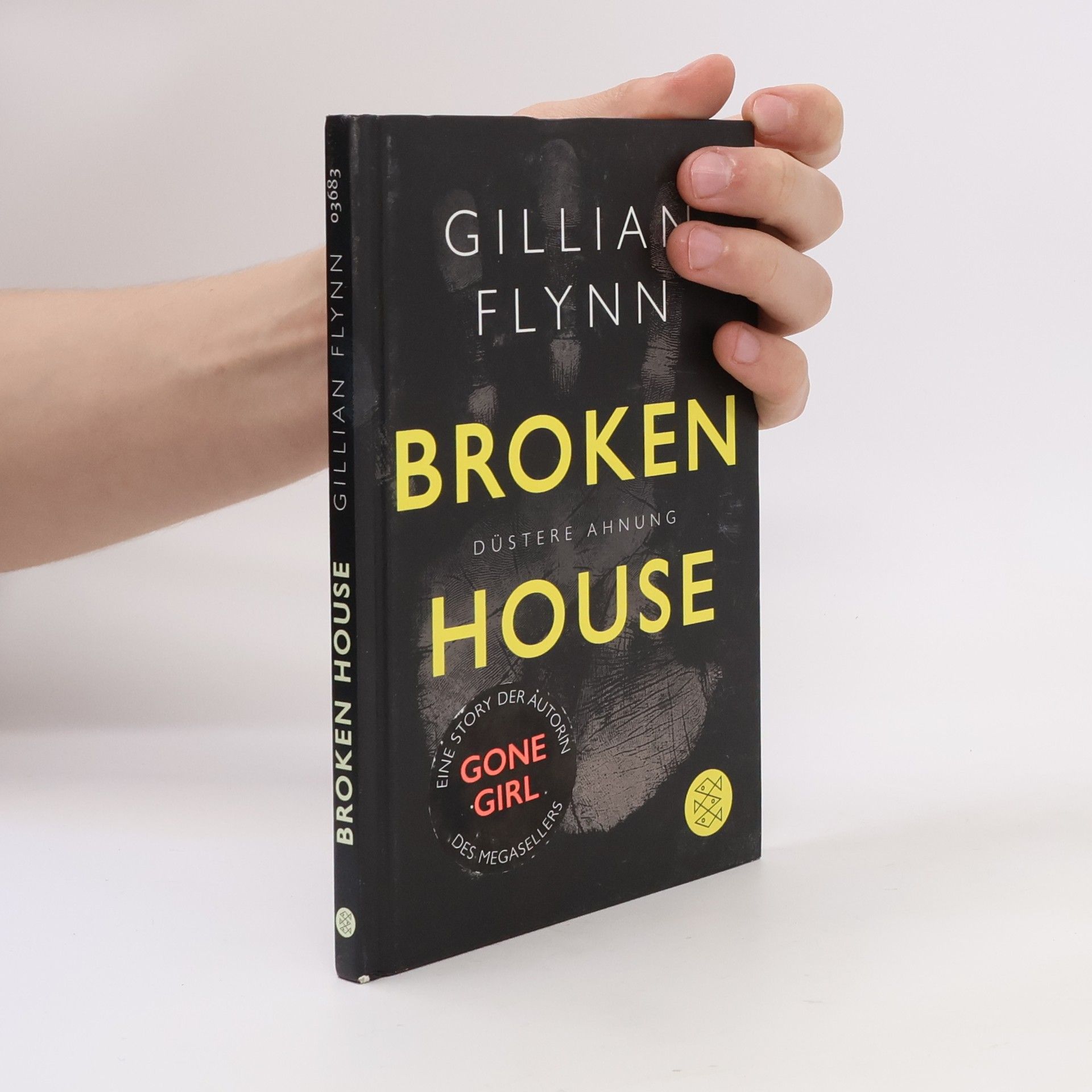 Gillian Flynn Broken House