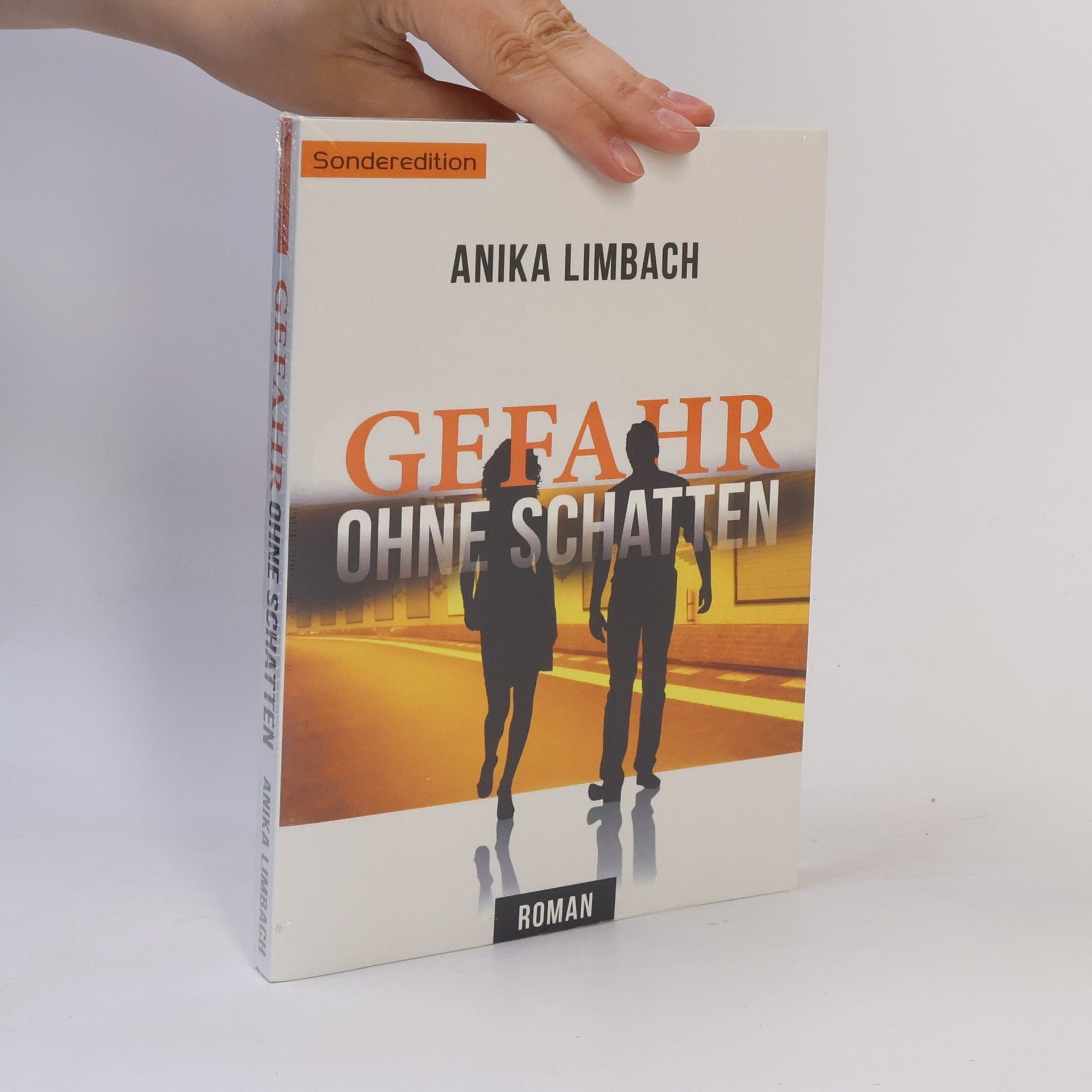 Anika Limbach Gefahr ohne Schatten