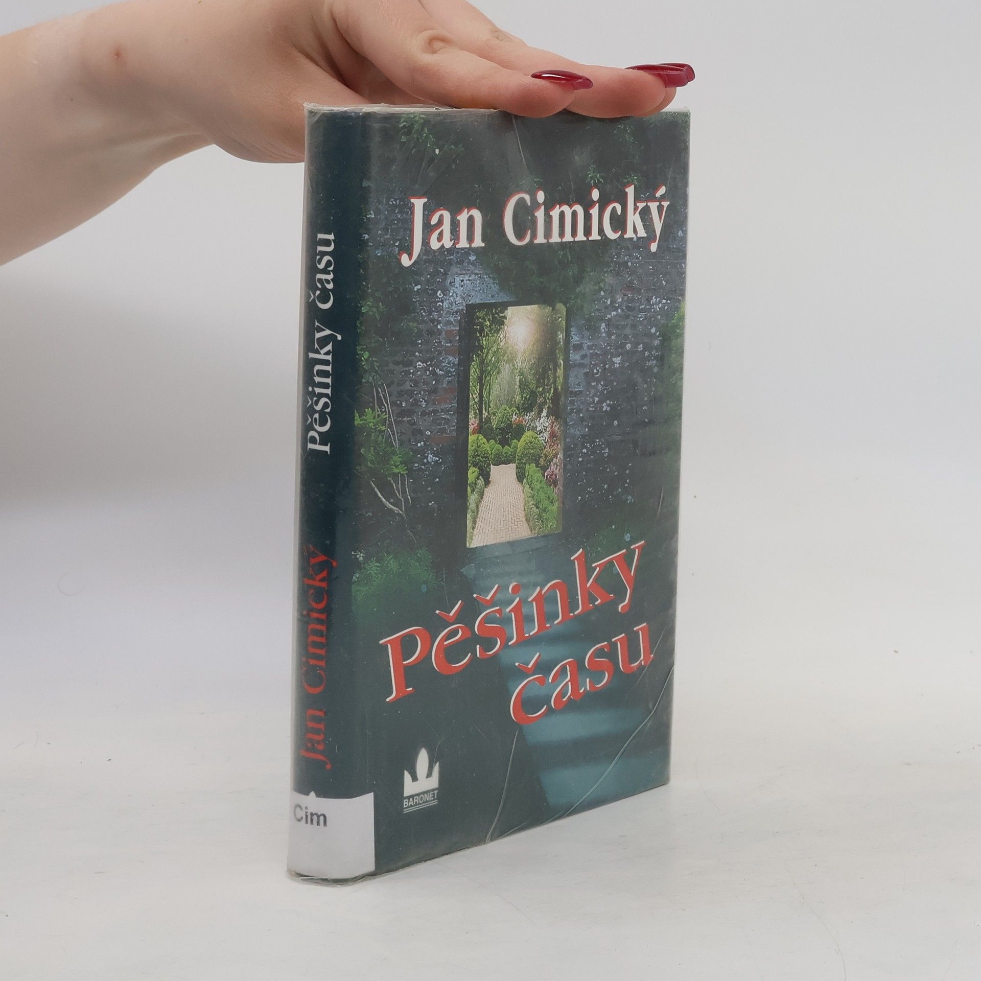 Pěšinky času