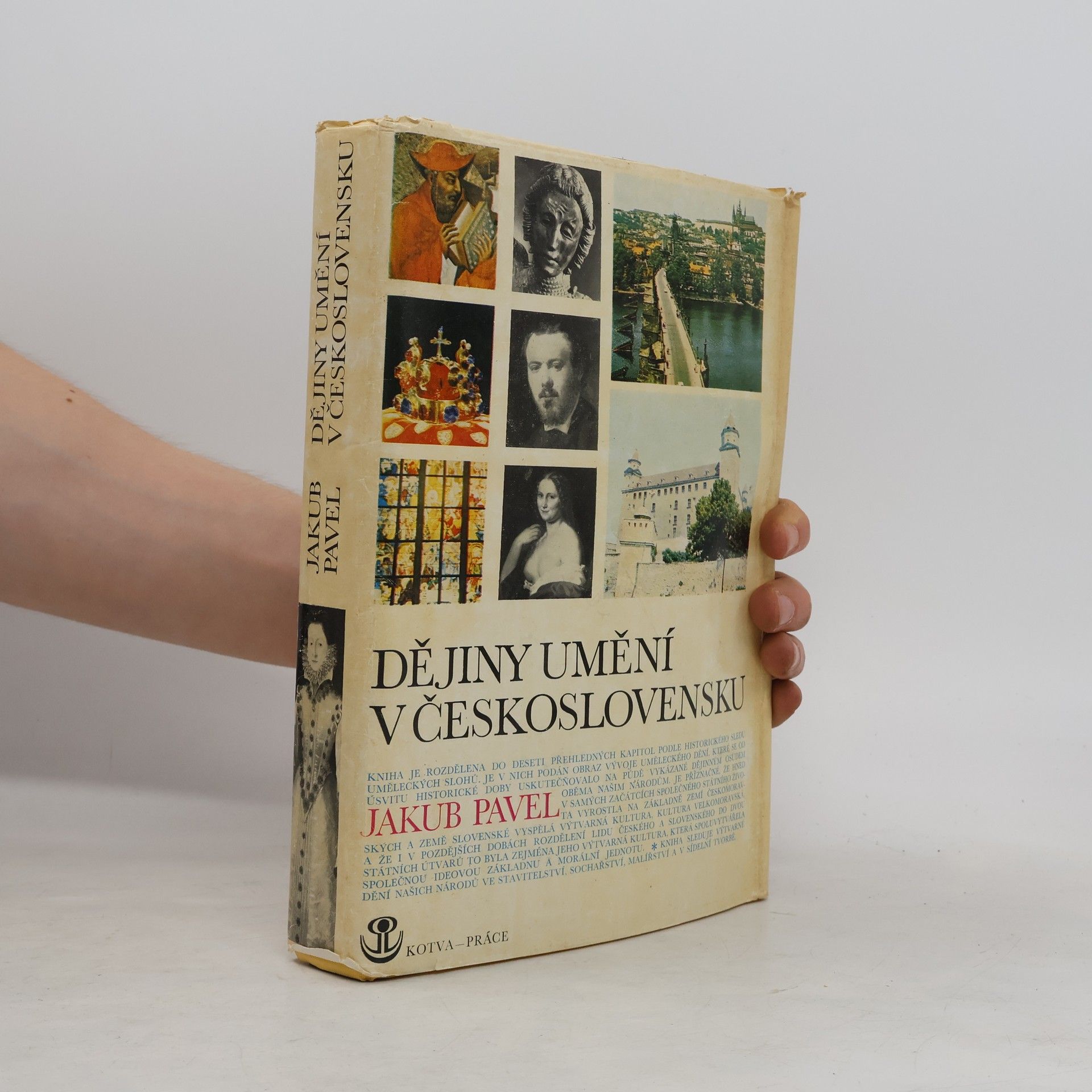 Jakub Pavel Dějiny umění v Československu