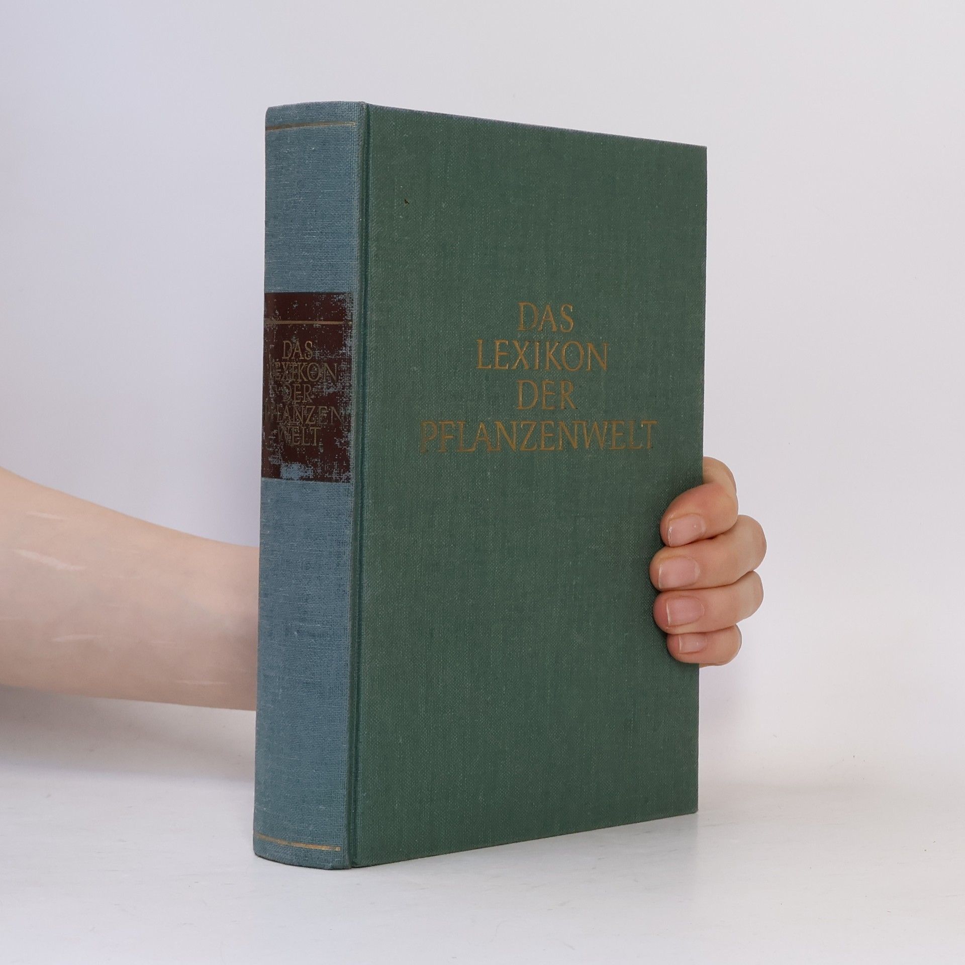 Autorenkollektiv Das Lexikon der Pflanzenwelt