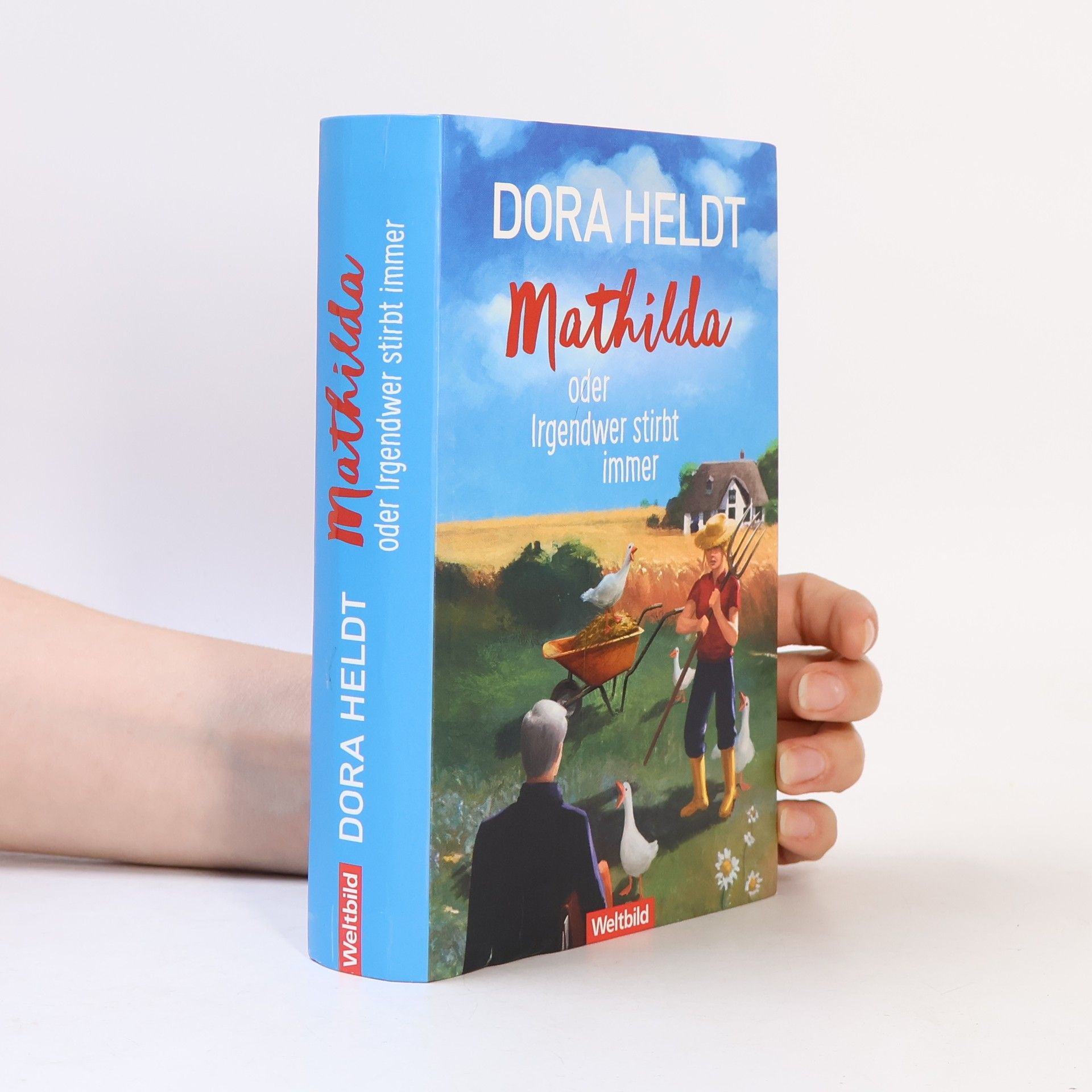 Dora Heldt Mathilda oder Irgendwer stirbt immer