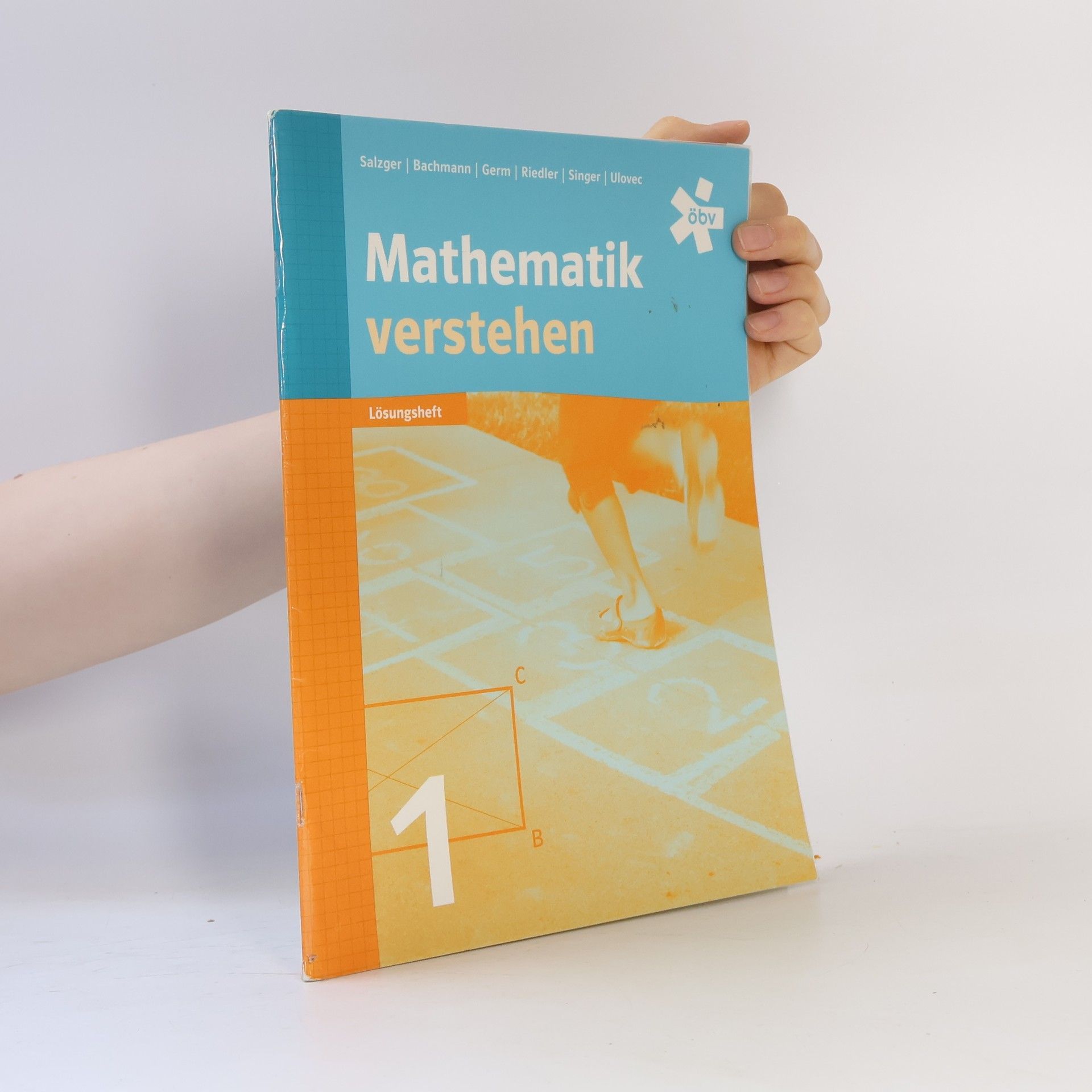 Bernhard Salzger Mathematik verstehen