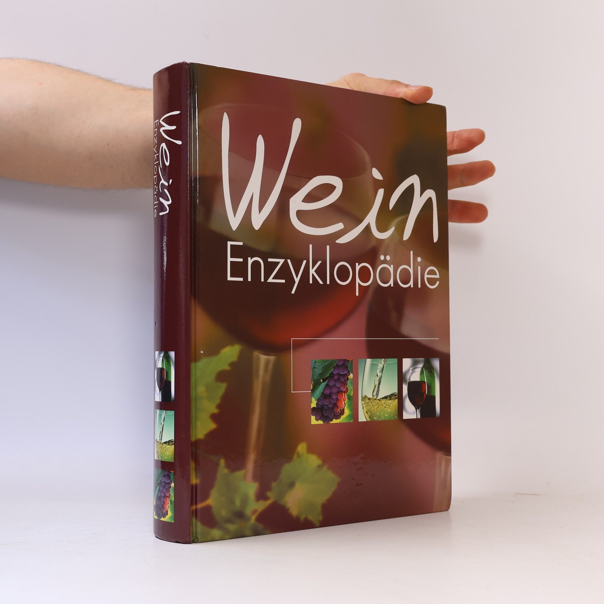 Autorenkollektiv Wein Enzyklopädie