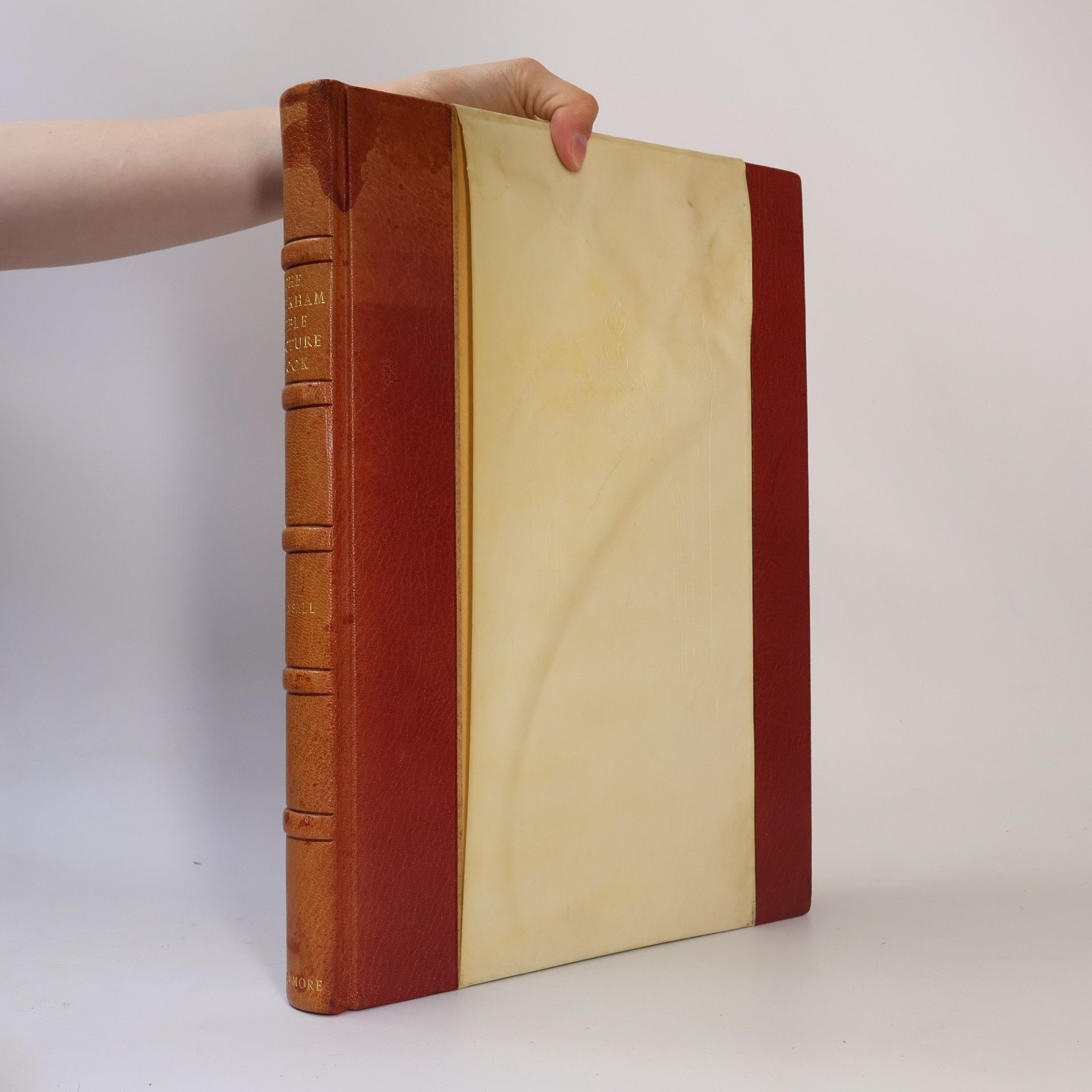 The Holkham Bible Picture Book