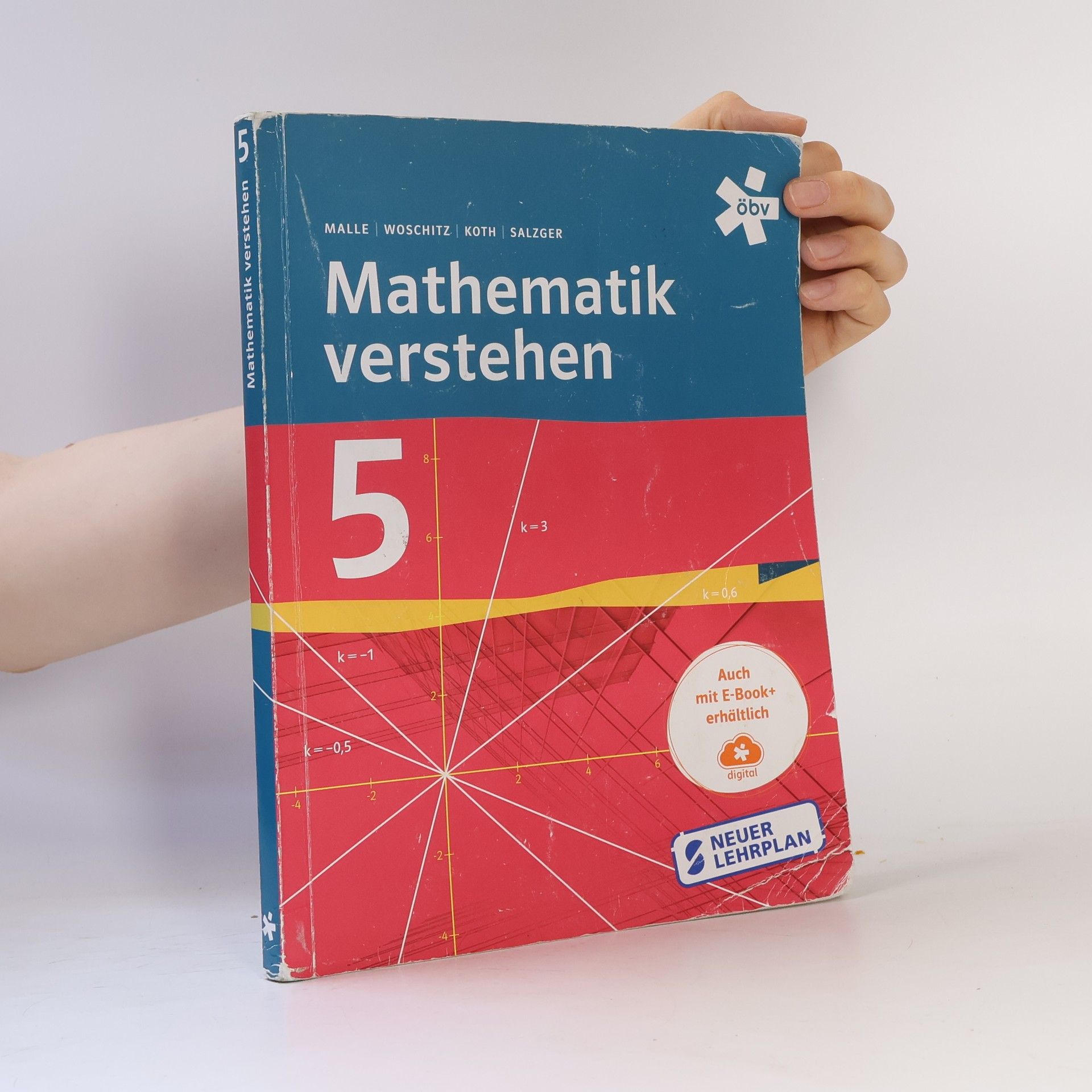 Mathematik verstehen 5