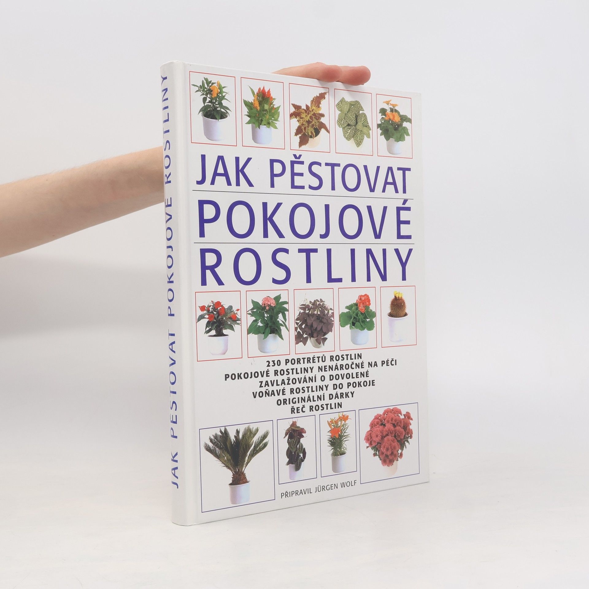 Jürgen Wolff Jak pěstovat pokojové rostliny