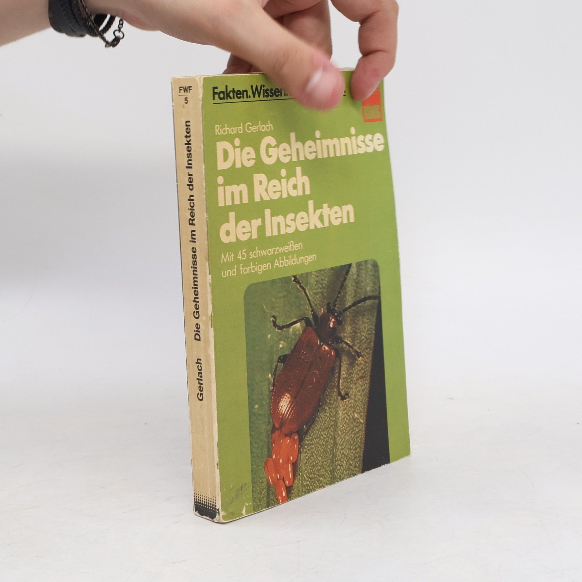 Richard Gerlach Die Geheimnisse im Reich der Insekten