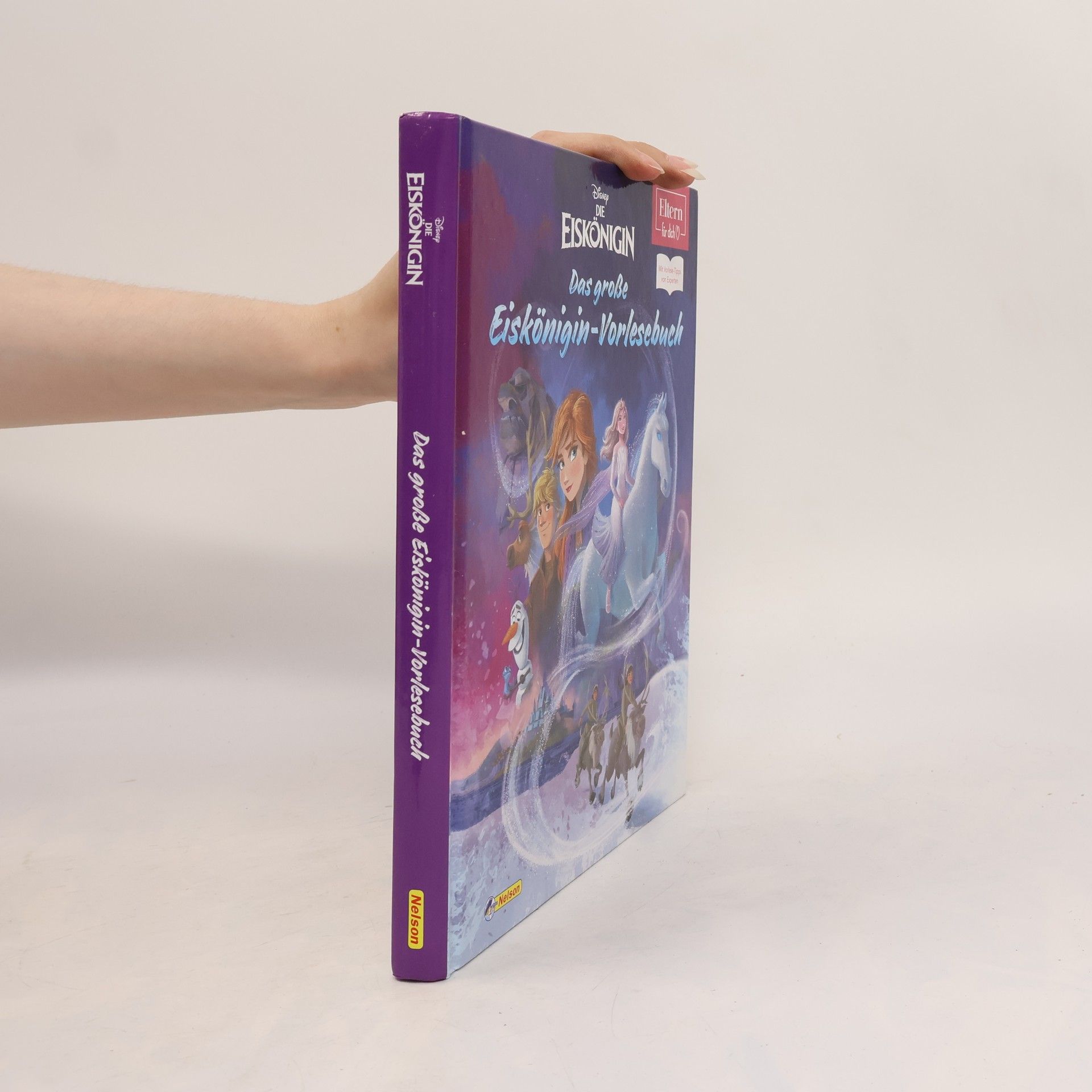 Walt Disney Das große Eiskönigin-Vorlesebuch