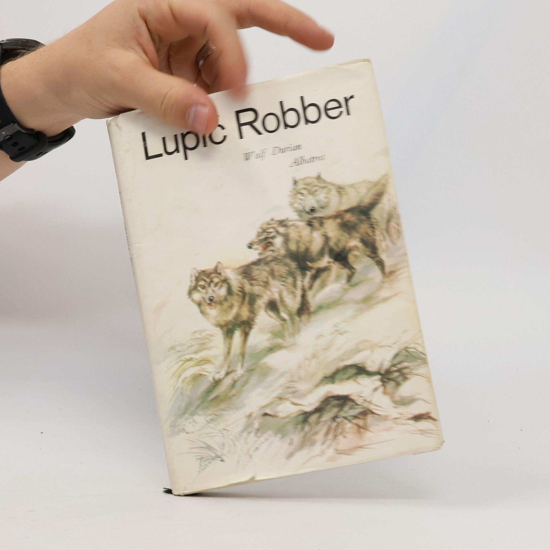 Lupič Robber