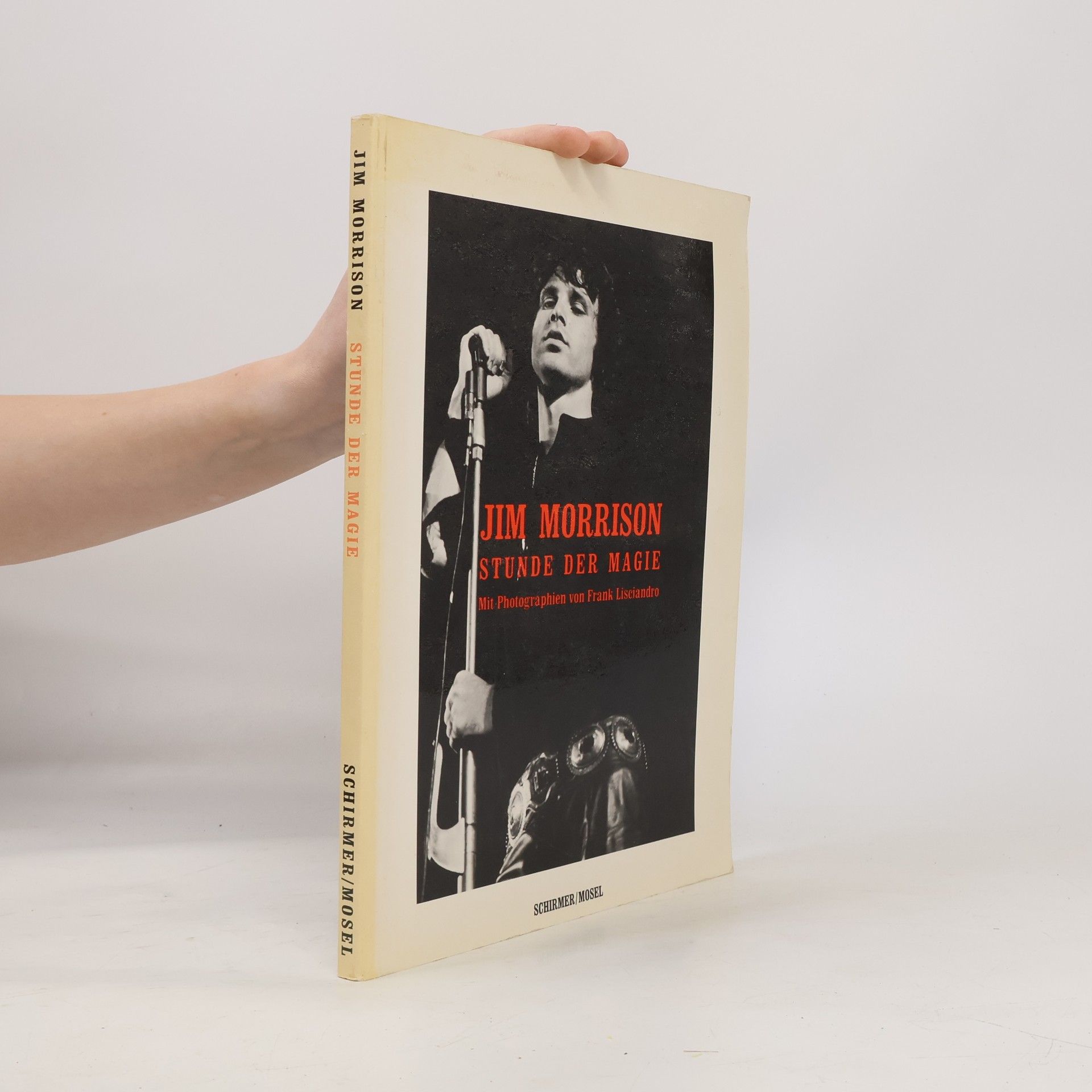 Frank Lisciandro Jim Morrison