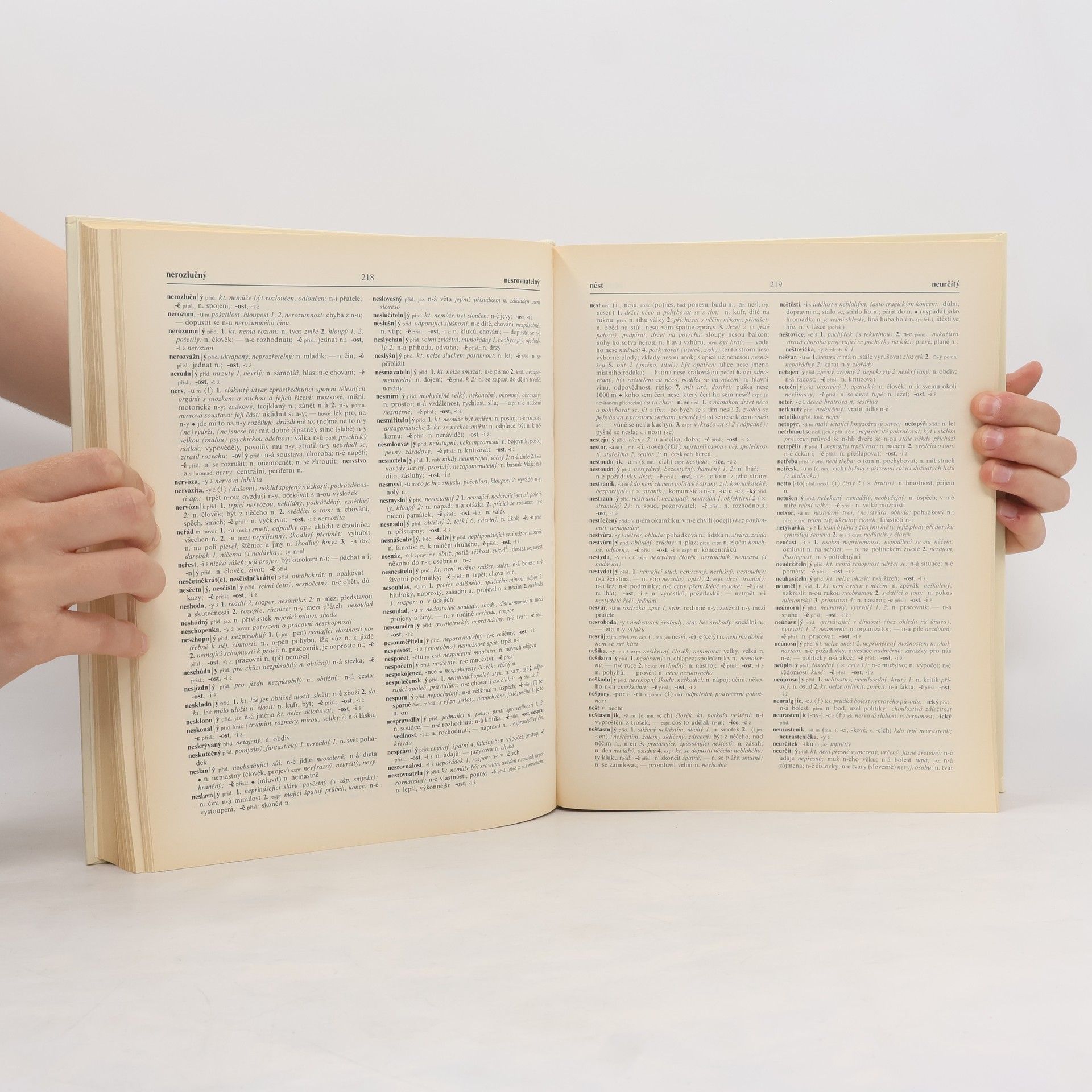 Autorenkollektiv Slovník spisovné češtiny pro školu a veřejnost