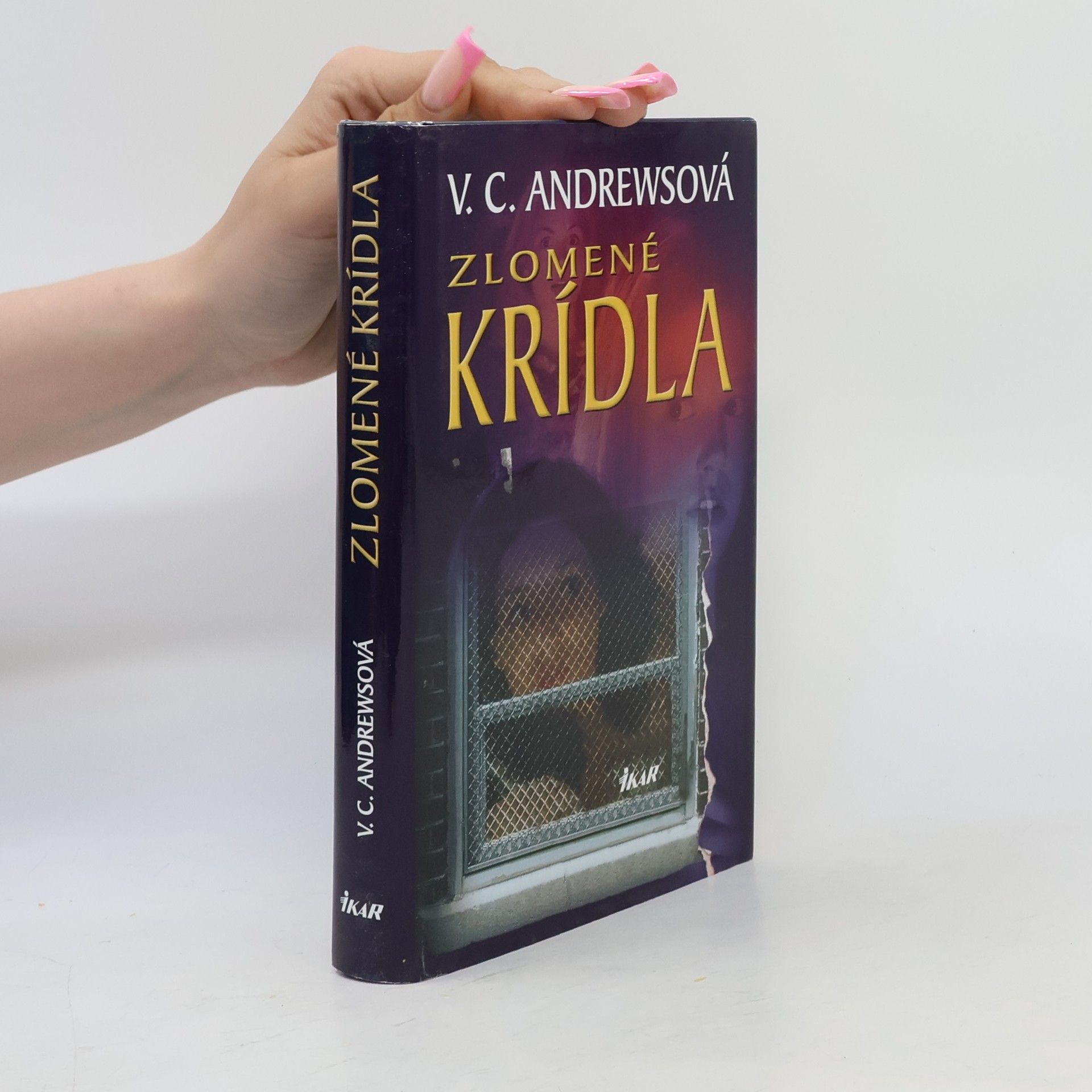 V. C. Andrews Zlomené krídla