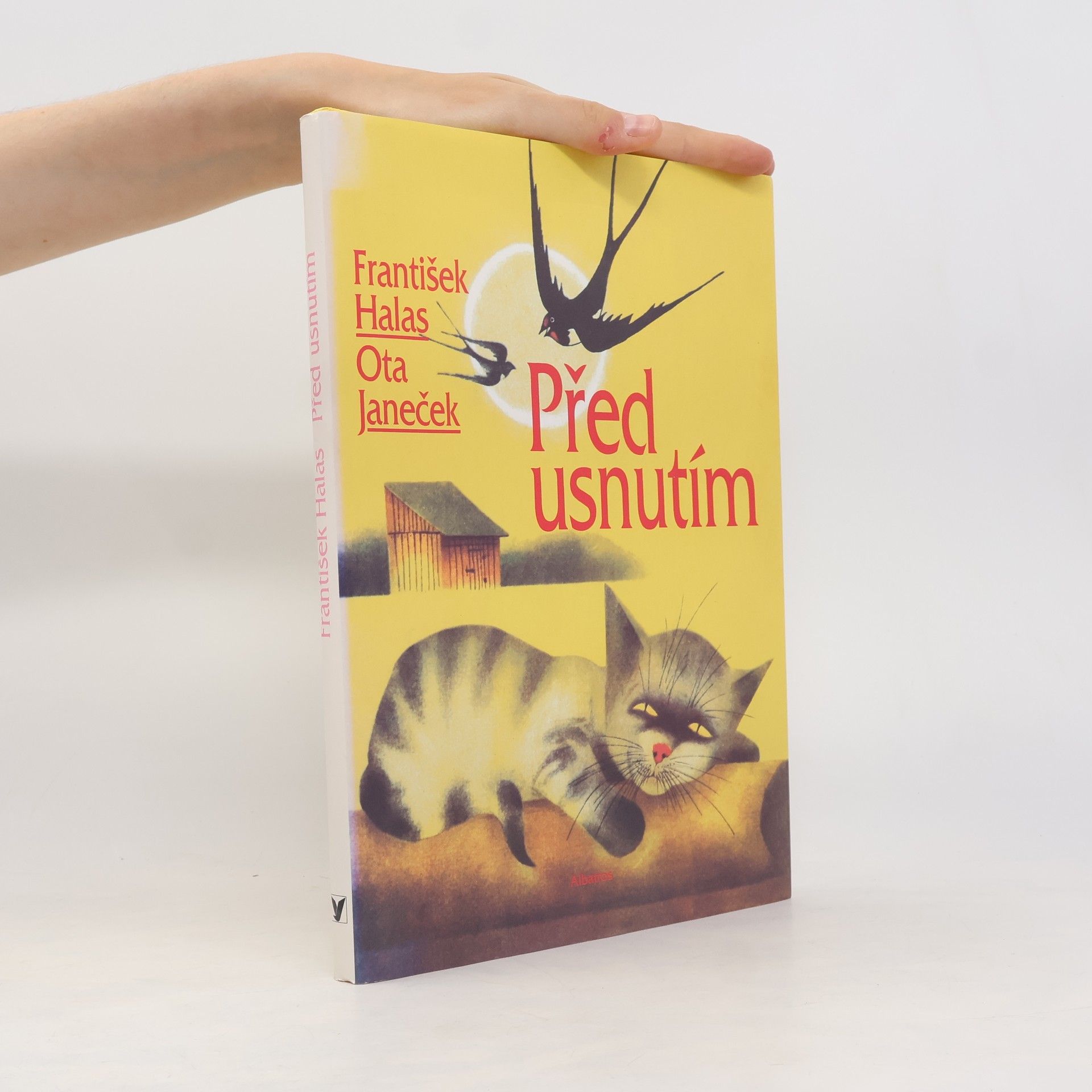 Před usnutím