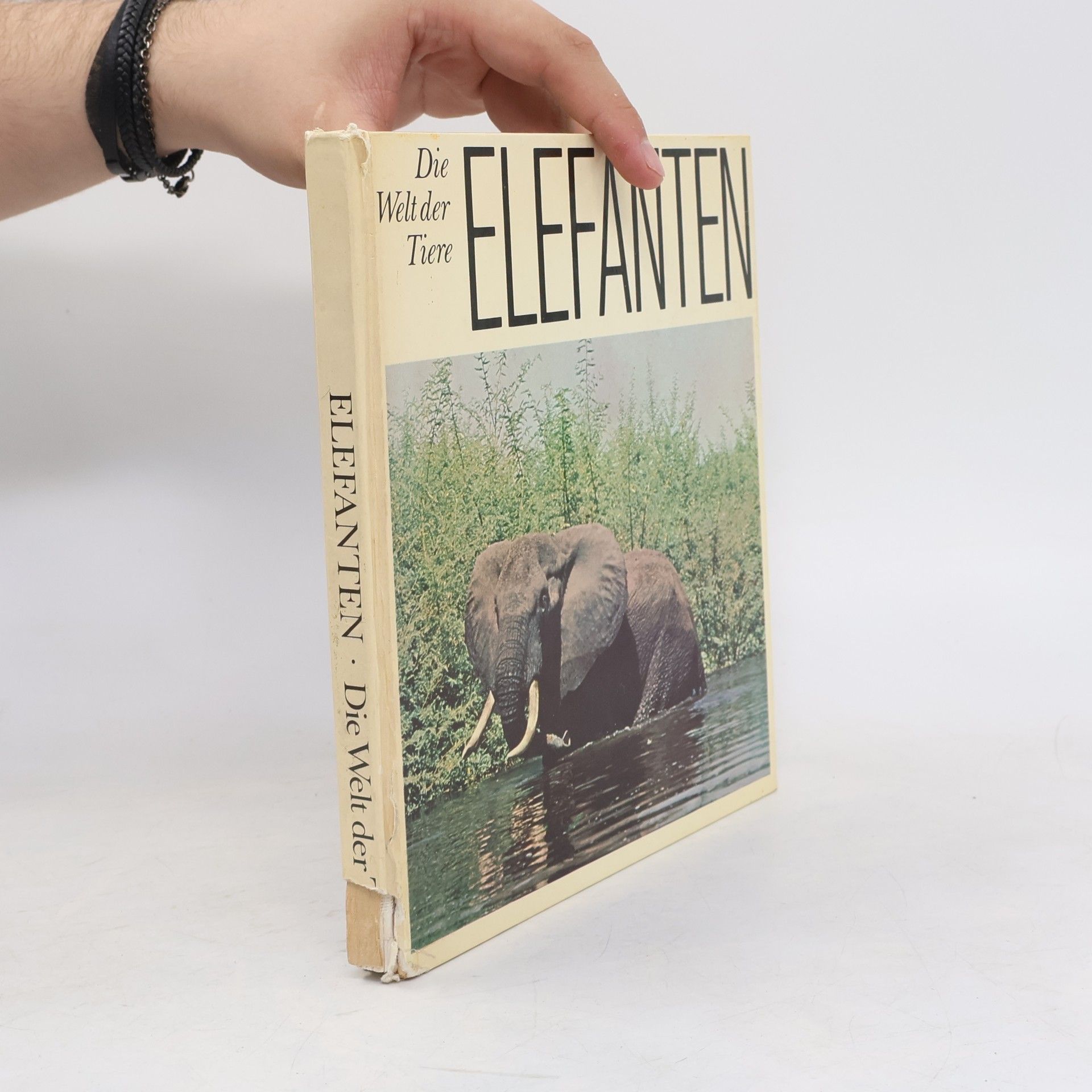 Autorenkollektiv Die Welt der Tiere. Elefanten