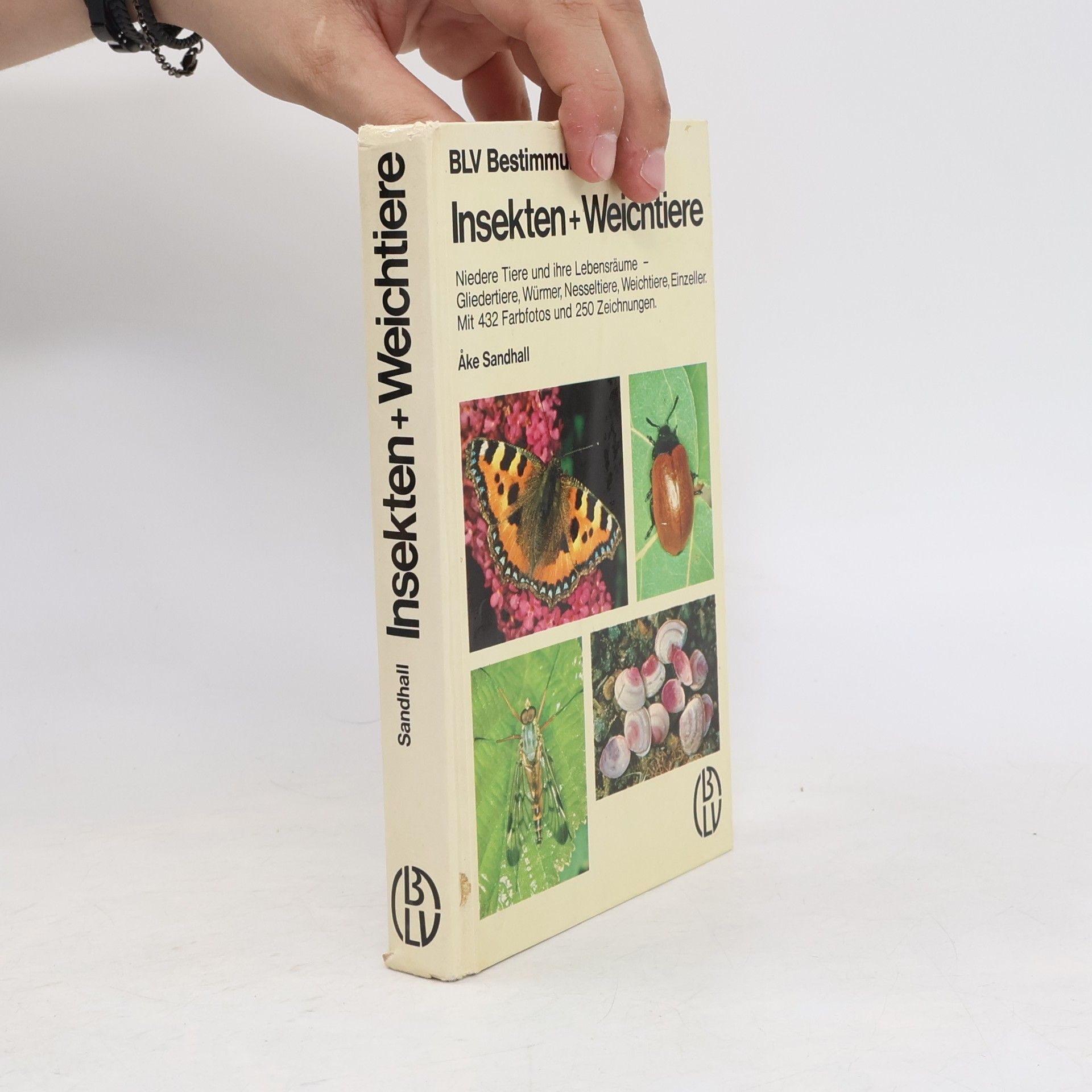 Ake Sandhall BLV Bestimmungsbuch: Insekten und Weichtiere