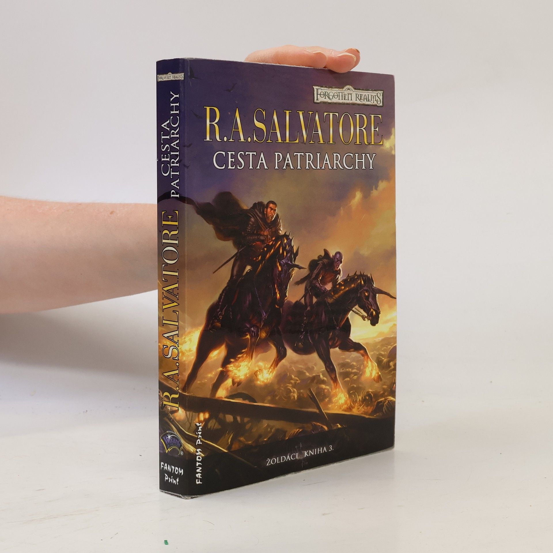 R. A. Salvatore Žoldáci. Kniha 3., Cesta patriarchy