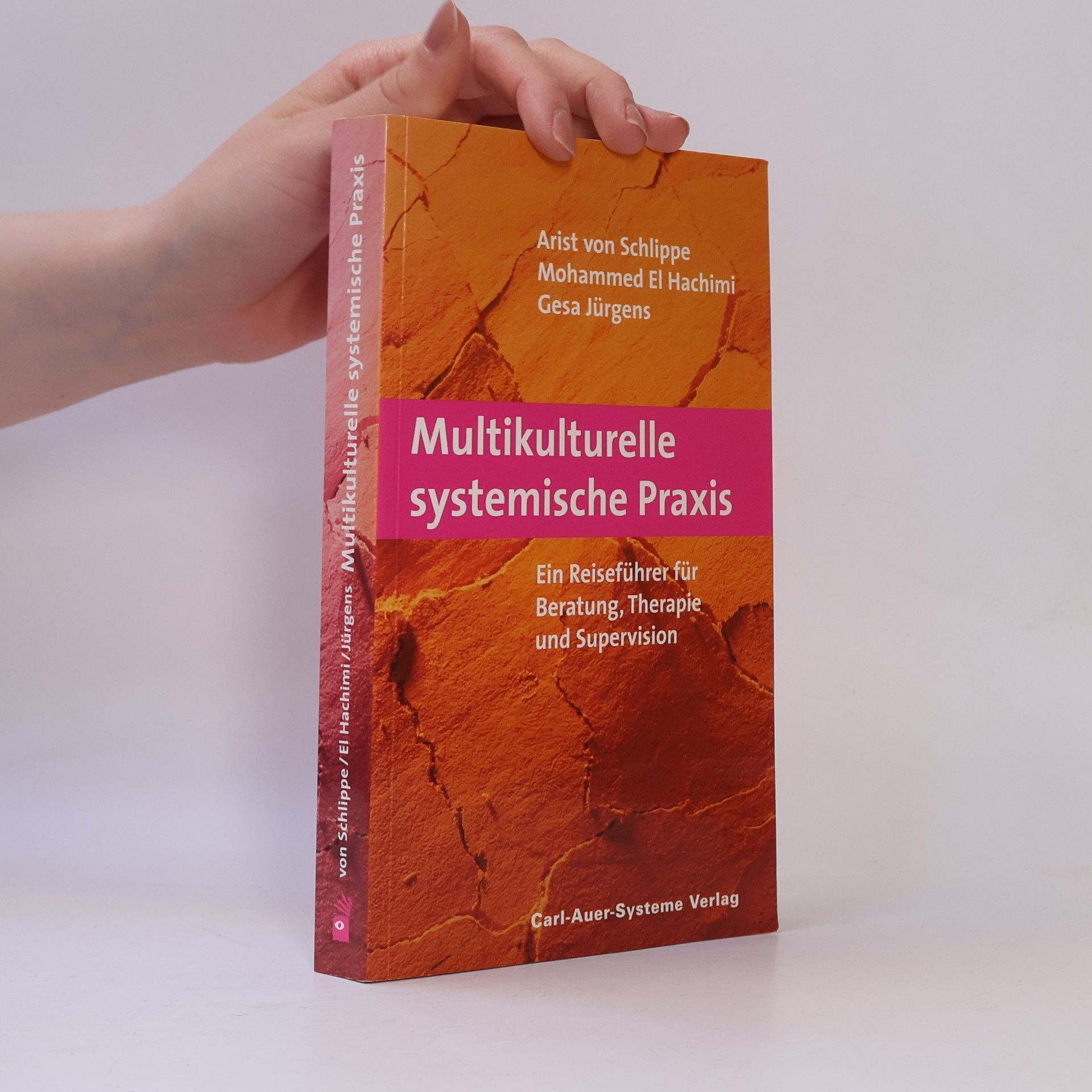 Arist von Schlippe Multikulturelle systemische Praxis