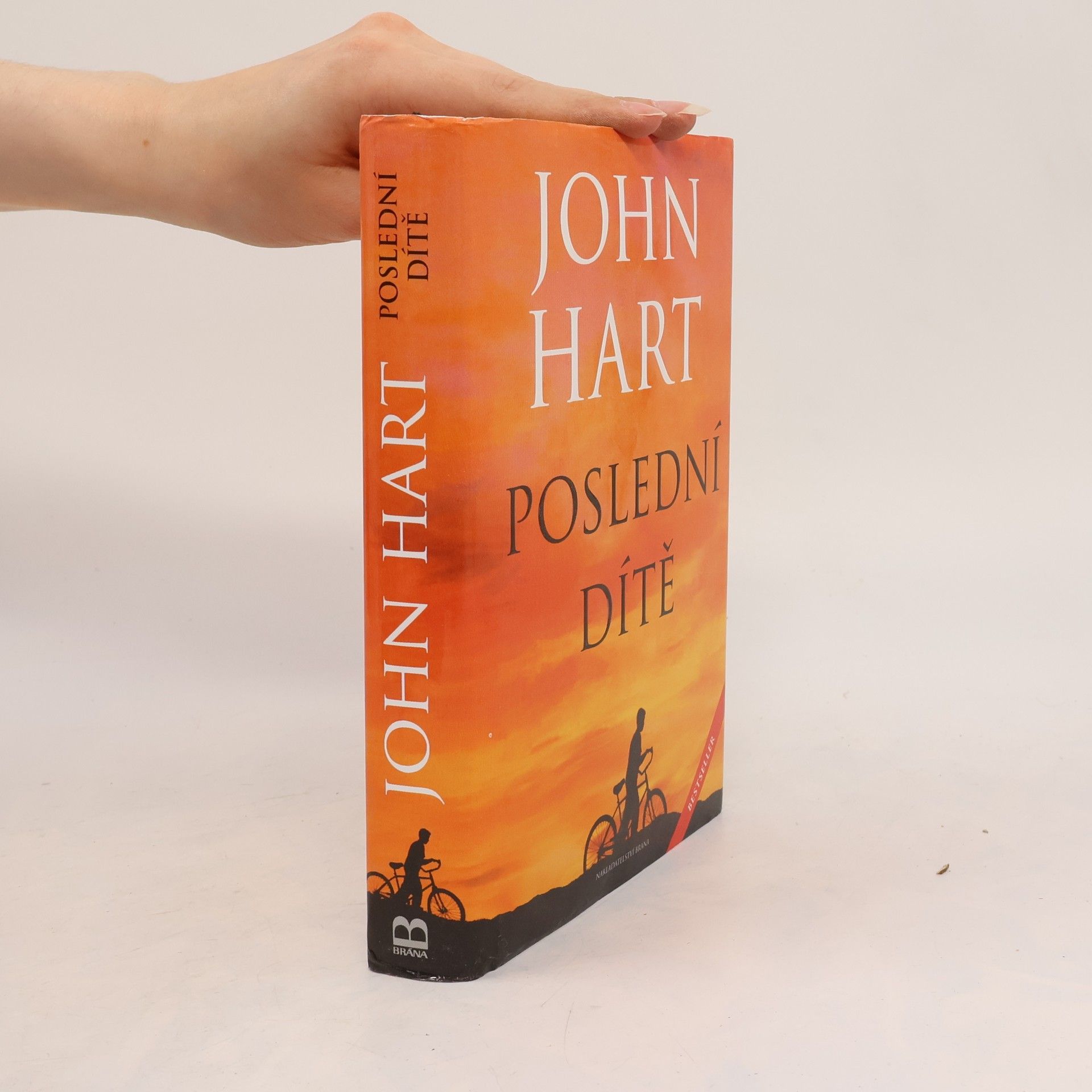 John Hart Poslední dítě