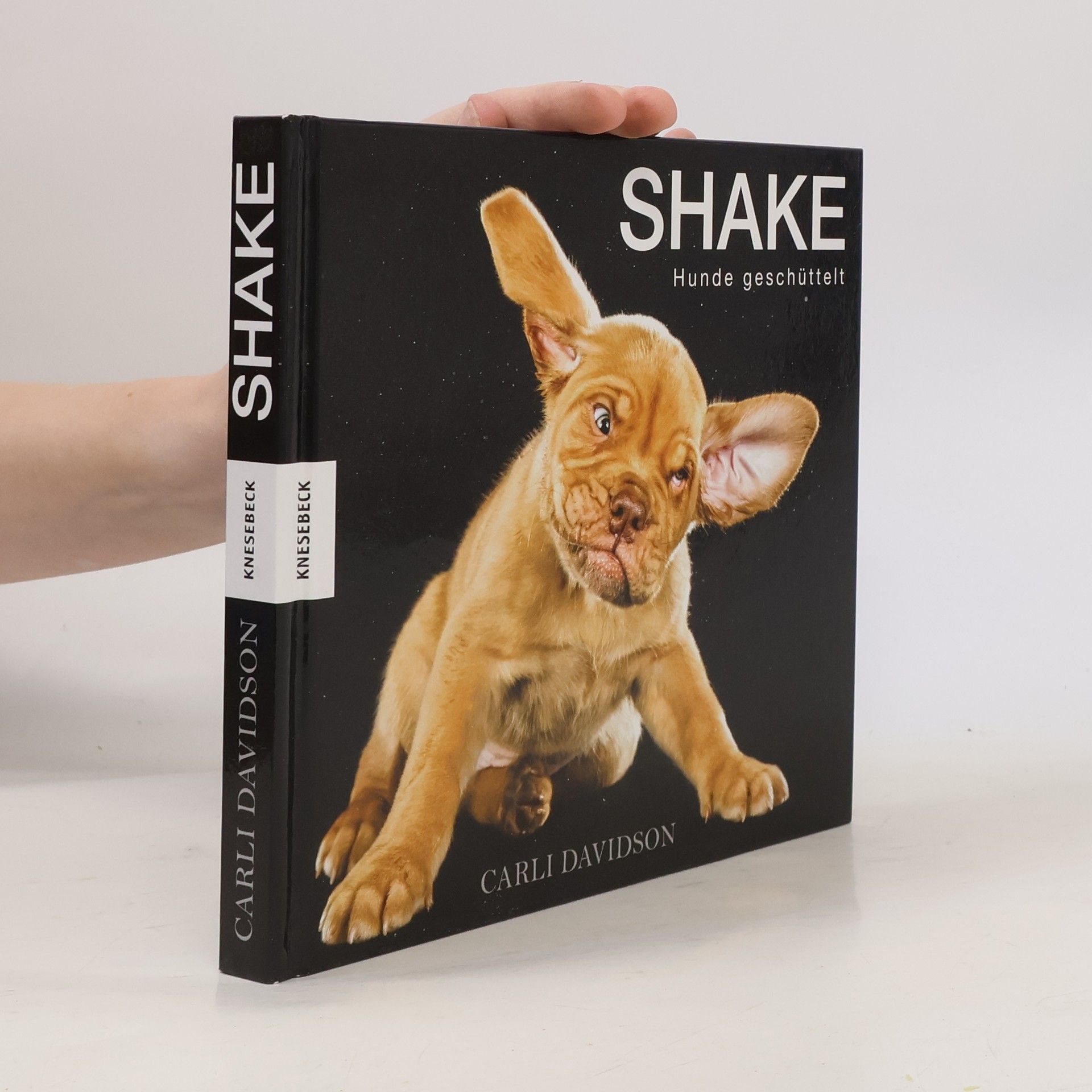 Carli Davidson Shake. Hunde geschüttelt.