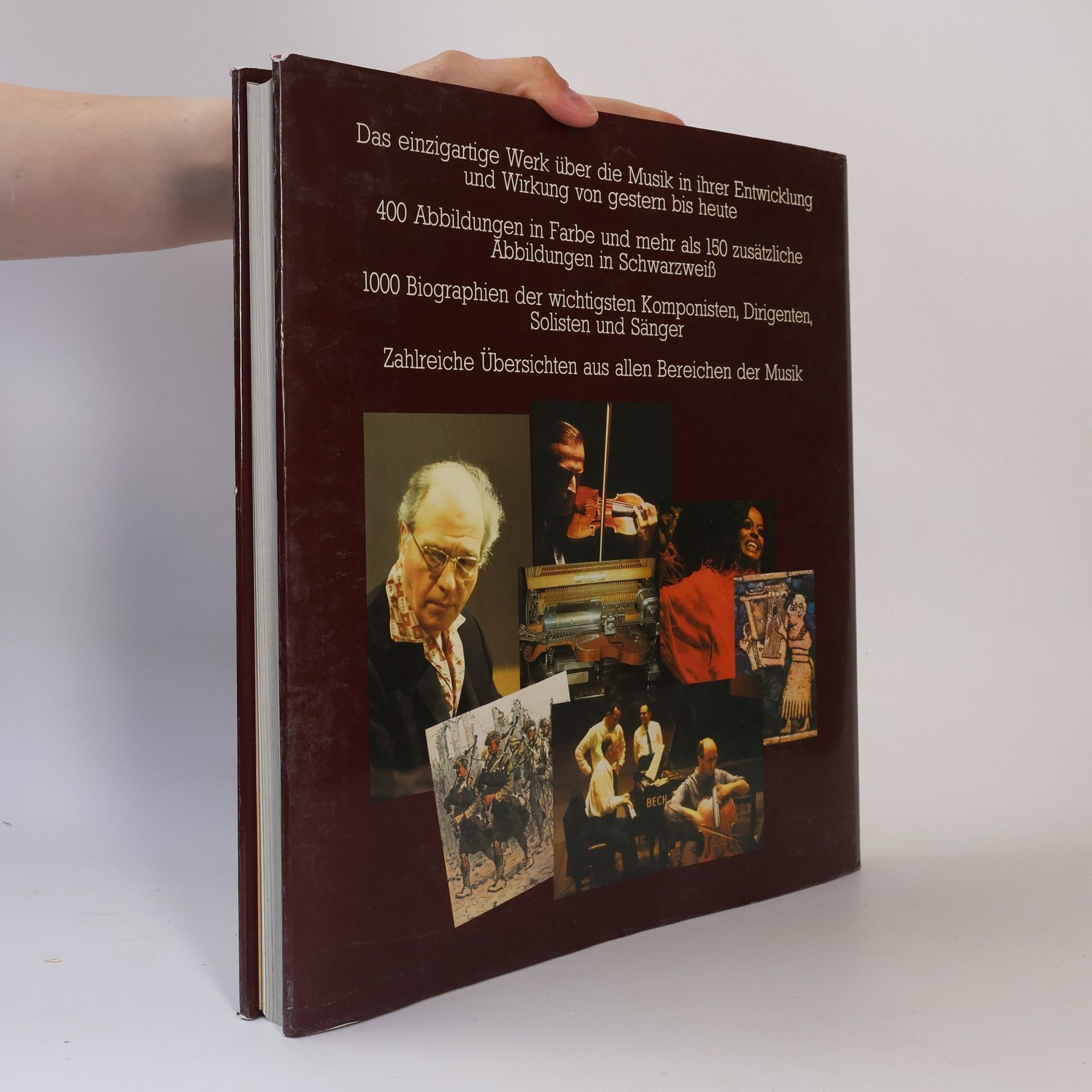 Victor Stevenson Die Musik. Menschen, Instrumente und Ereignisse in Bildern und Dokumenten