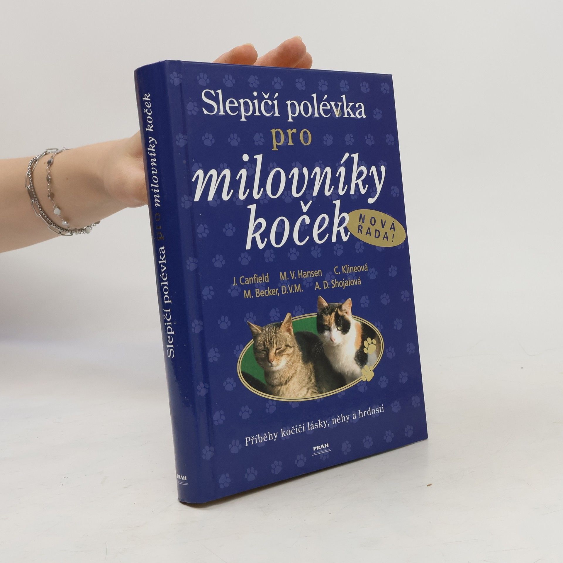 Jack Canfield Slepičí polévka pro milovníky koček: Příběhy o kočičí věrnosti, radosti i odvaze