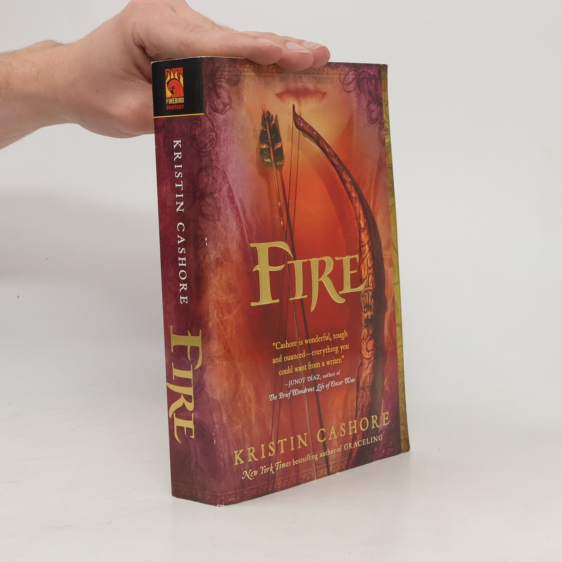 Kristin Cashore Fire