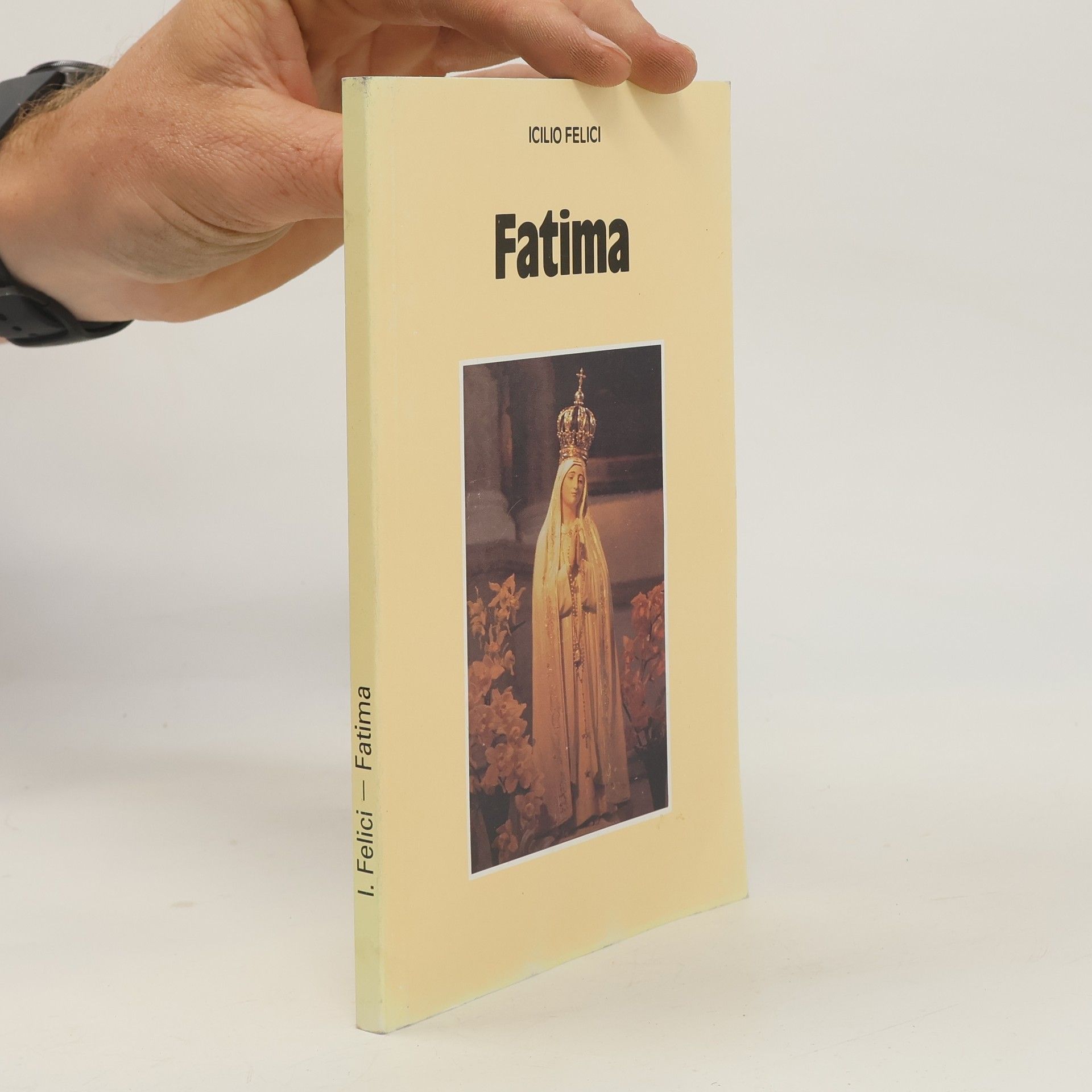 Icilio Felici Fatima