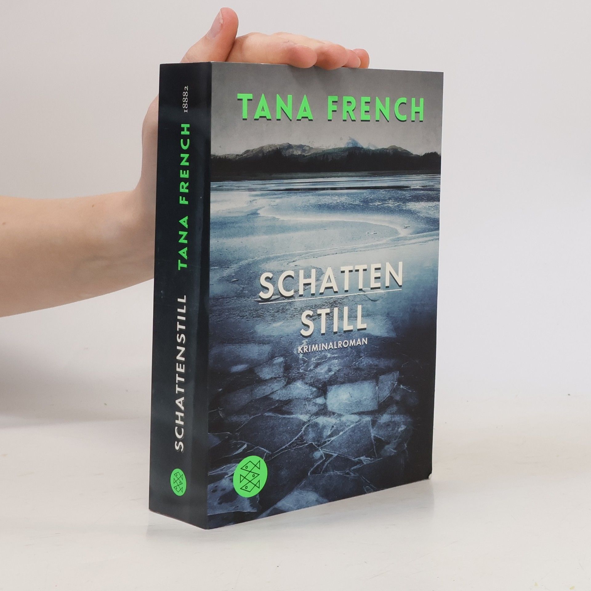 Tana Frenchová Schattenstill