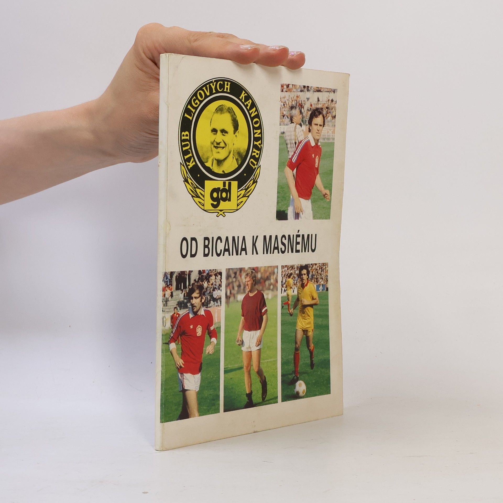 Hrubý a. kol Dolejš Od Bicana k Masnému