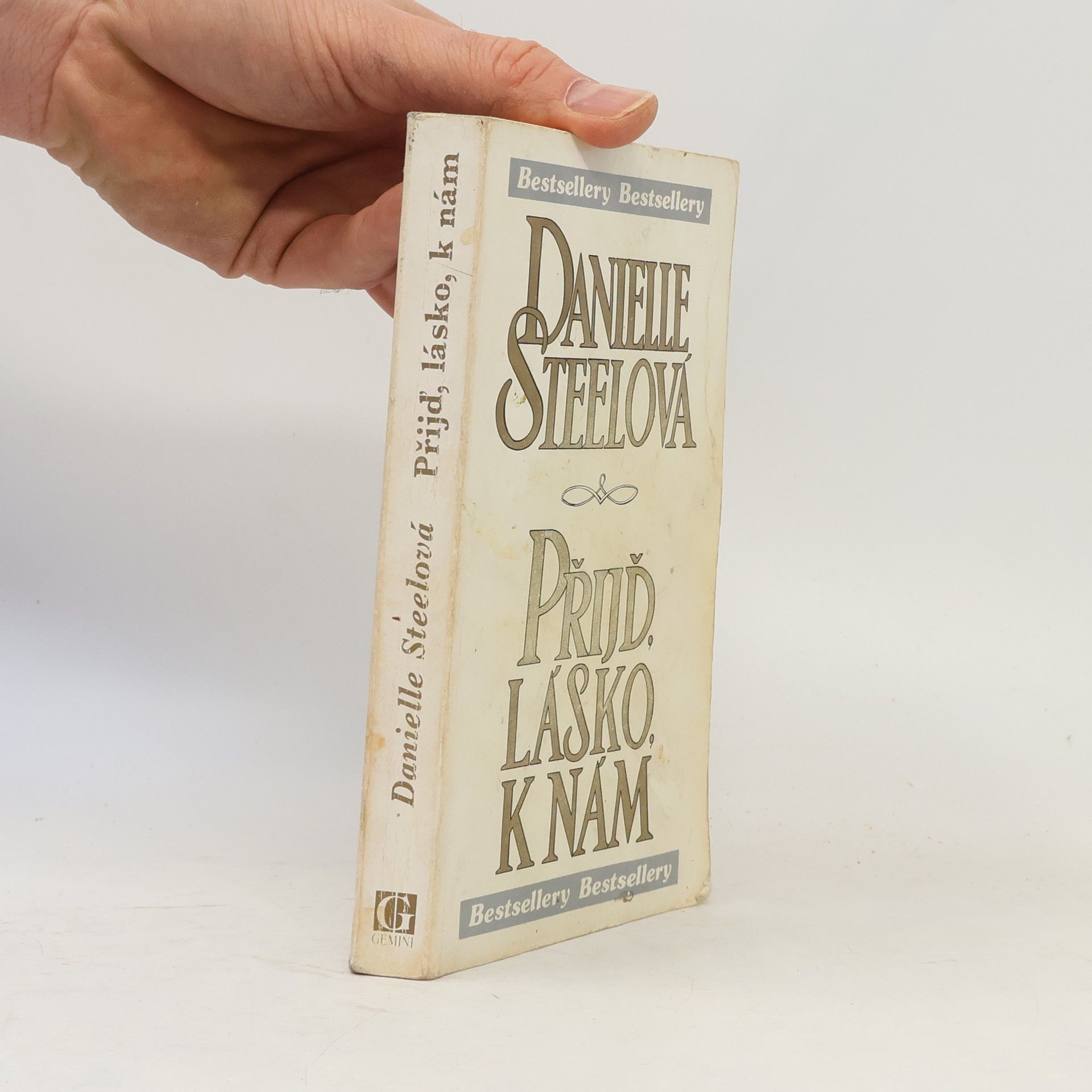 Danielle Steel Přijď, lásko, k nám