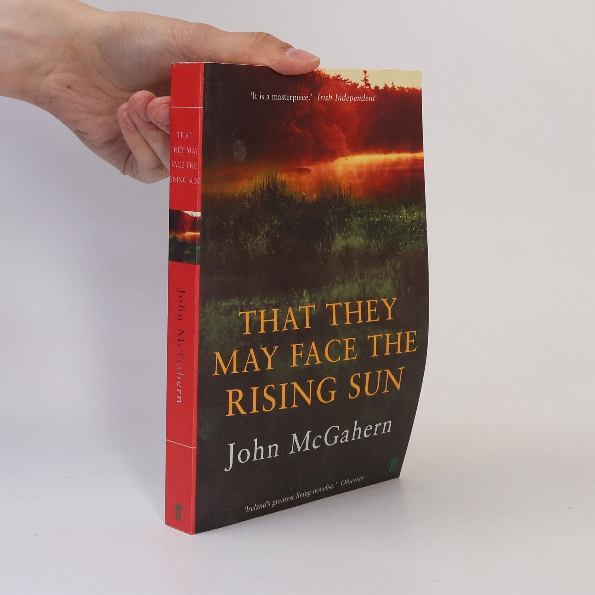John McGahern That They May Face the Rising Sun