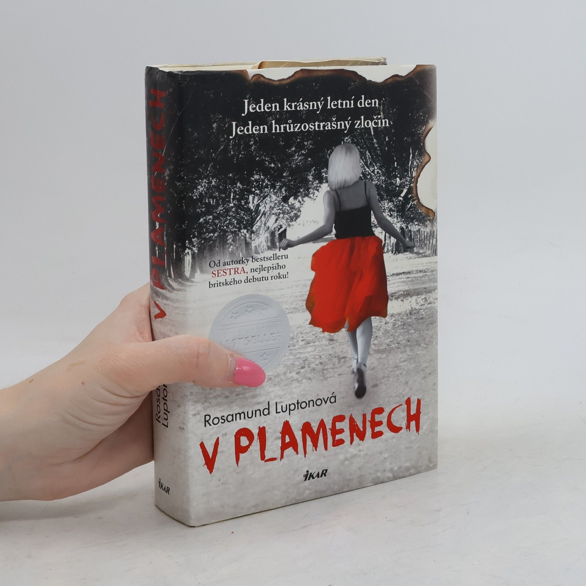 Rosamund Lupton V plamenech