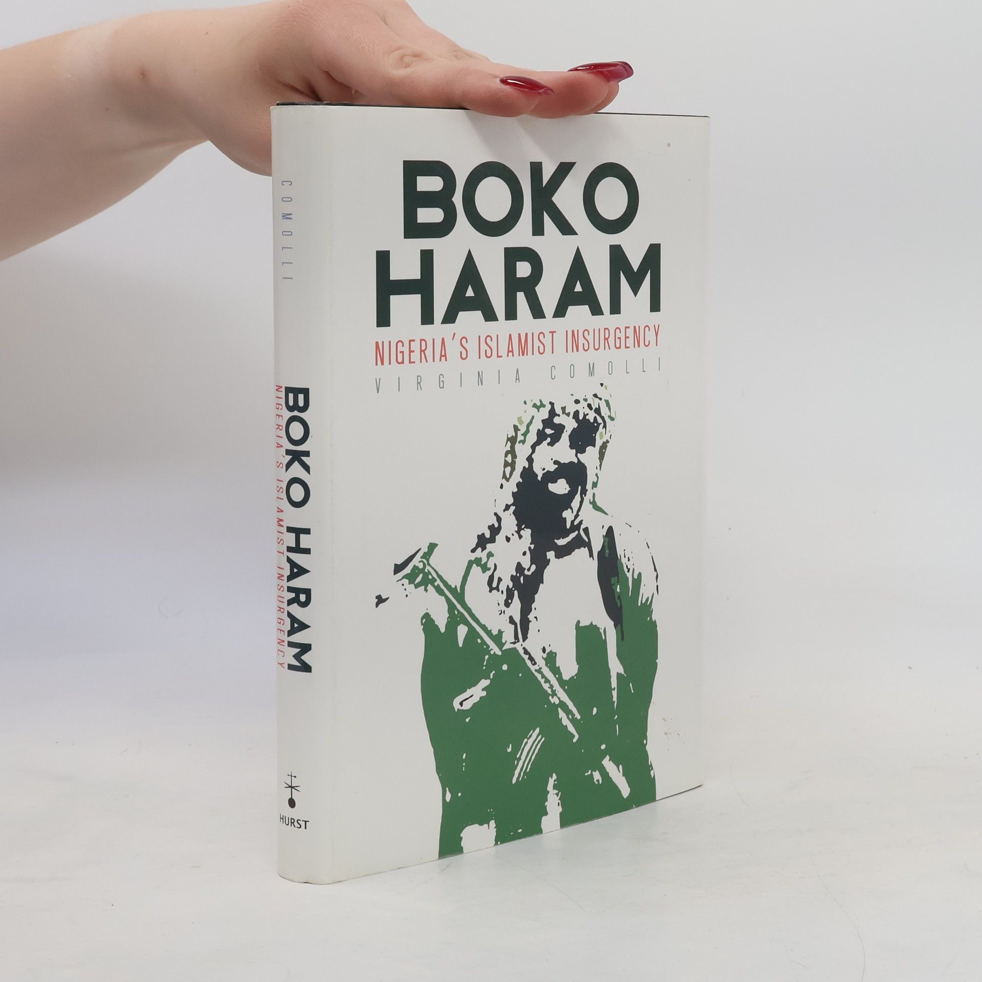 Virginia Comolli Boko Haram