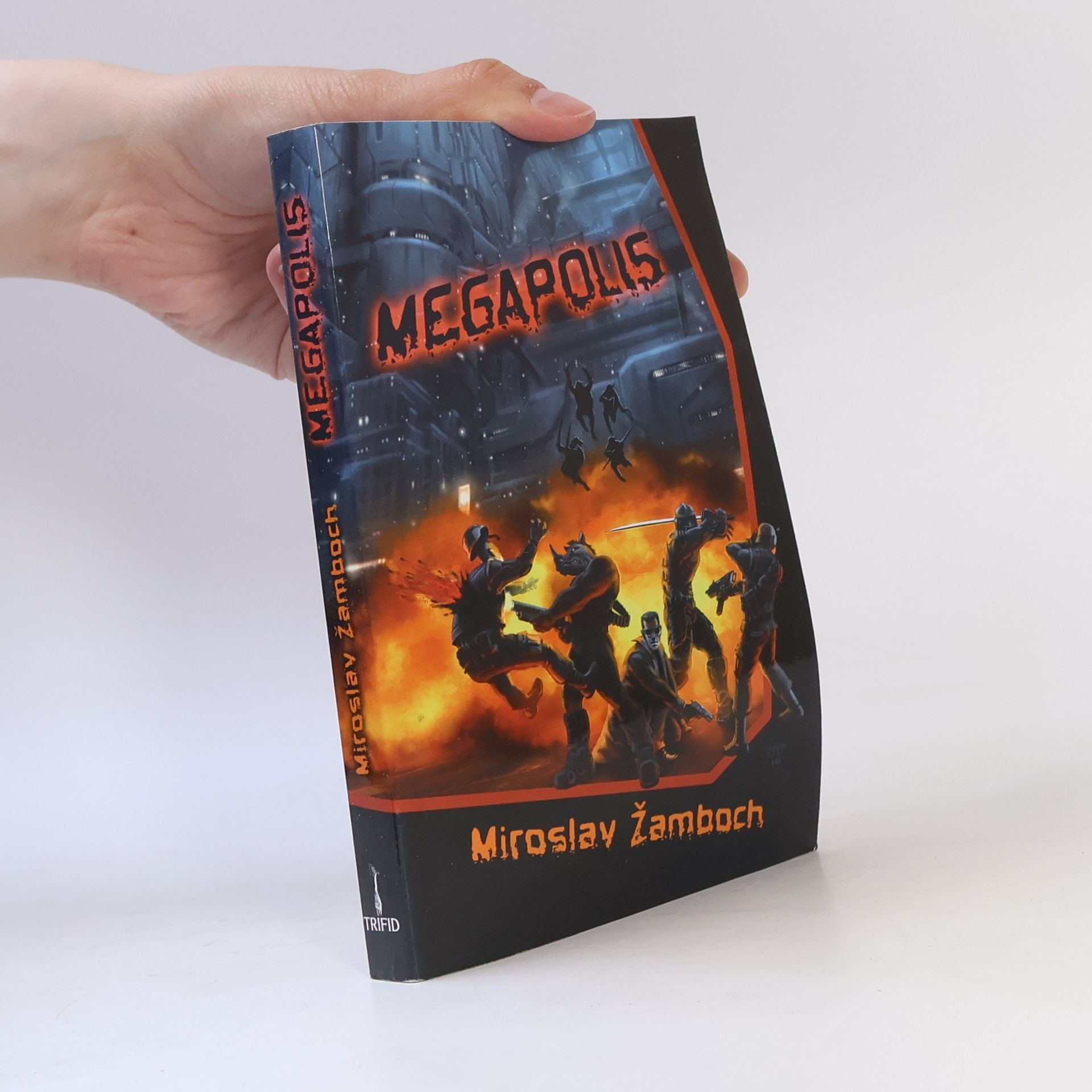 Miroslav Žamboch Megapolis
