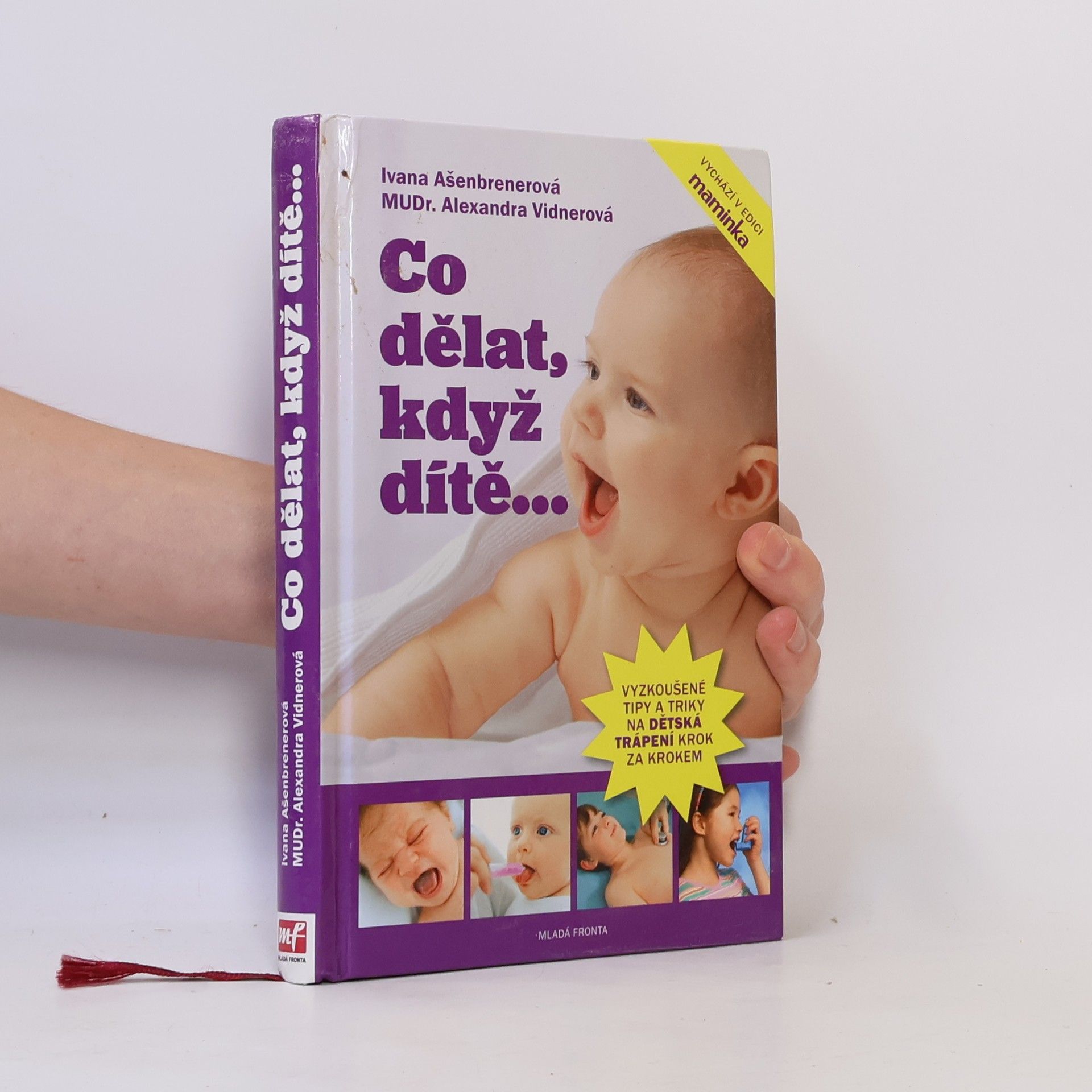 Ivana Ašenbrenerová Co dělat, když dítě...