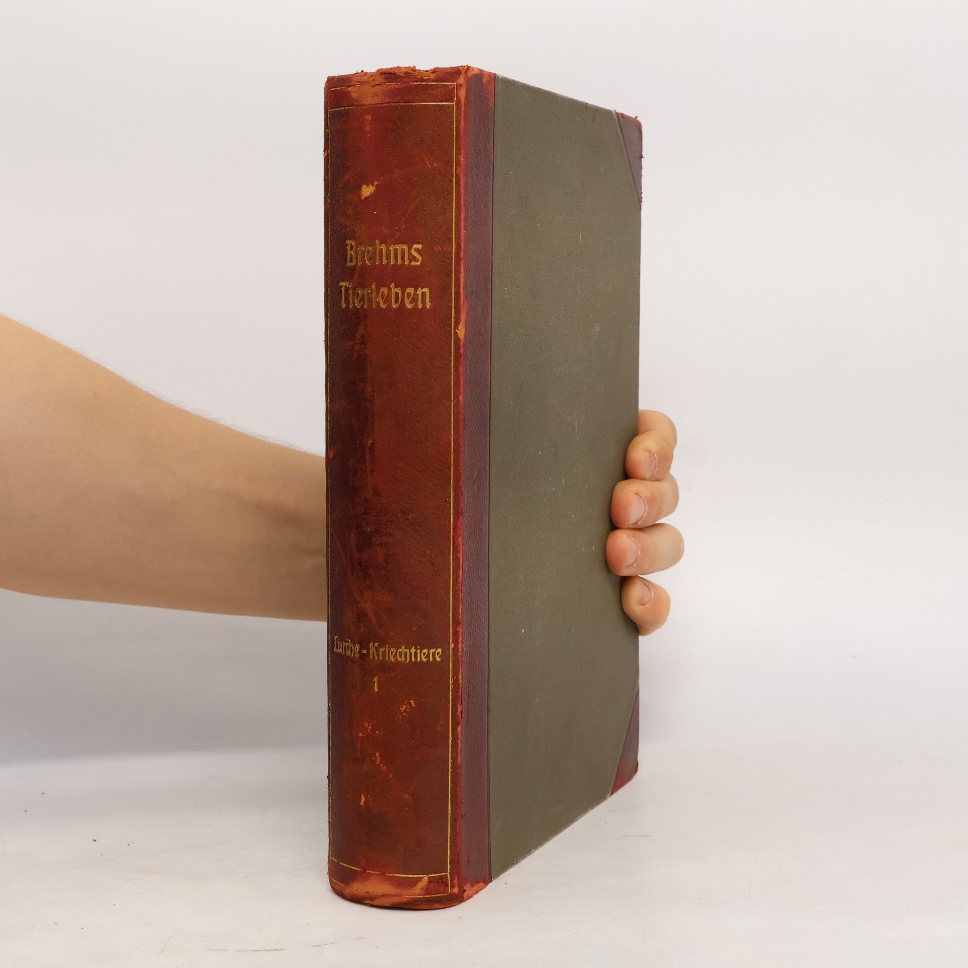 Alfred Edmund Brehm Brehms Tierleben 1