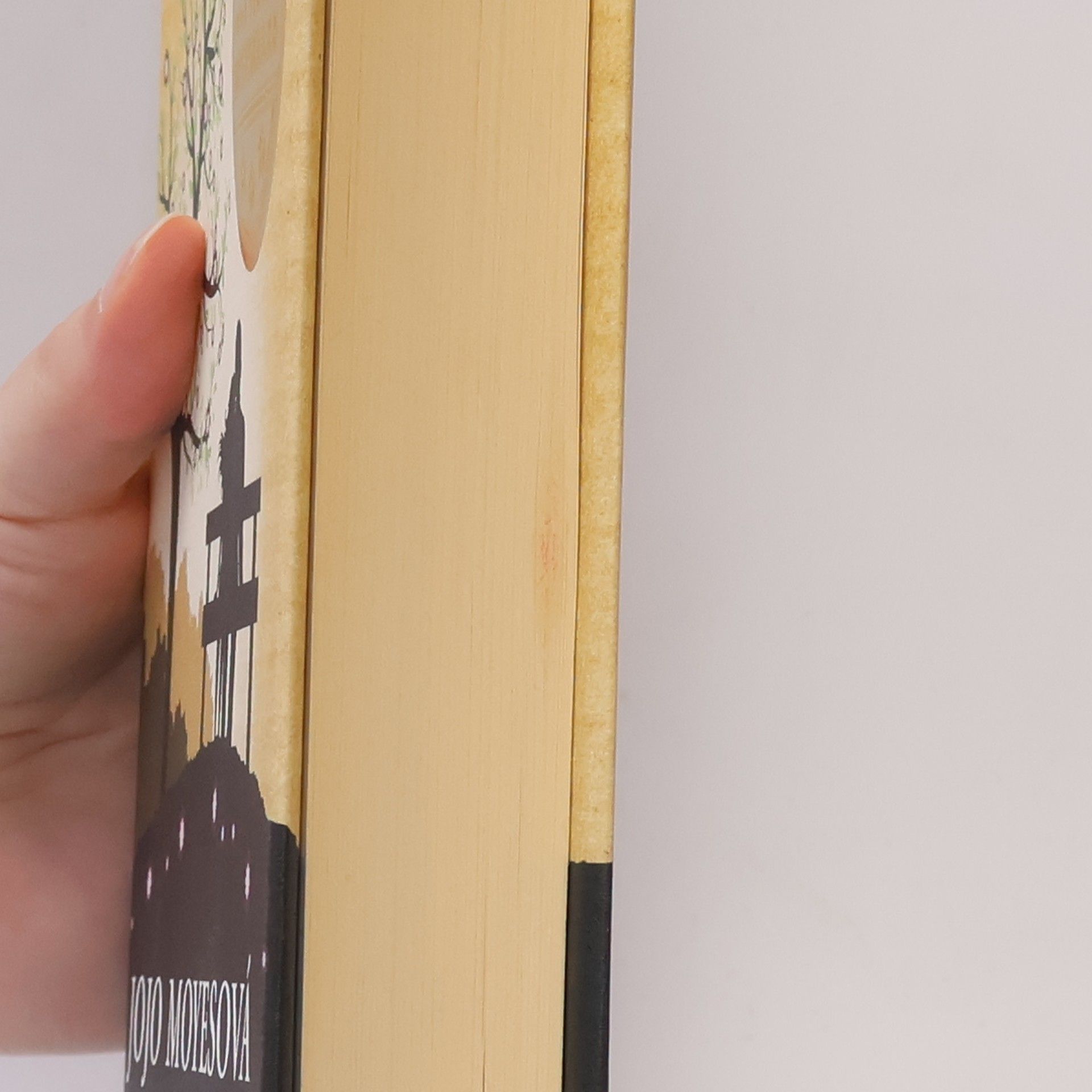 Jojo Moyes Život po tobě