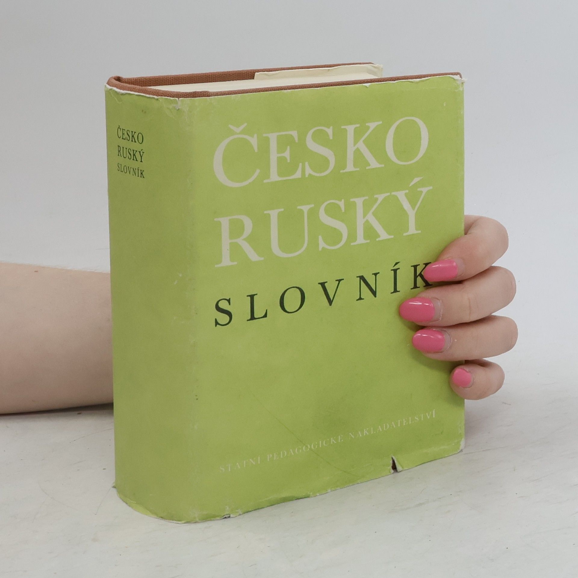 Kolektiv autorů Česko-Ruský slovník