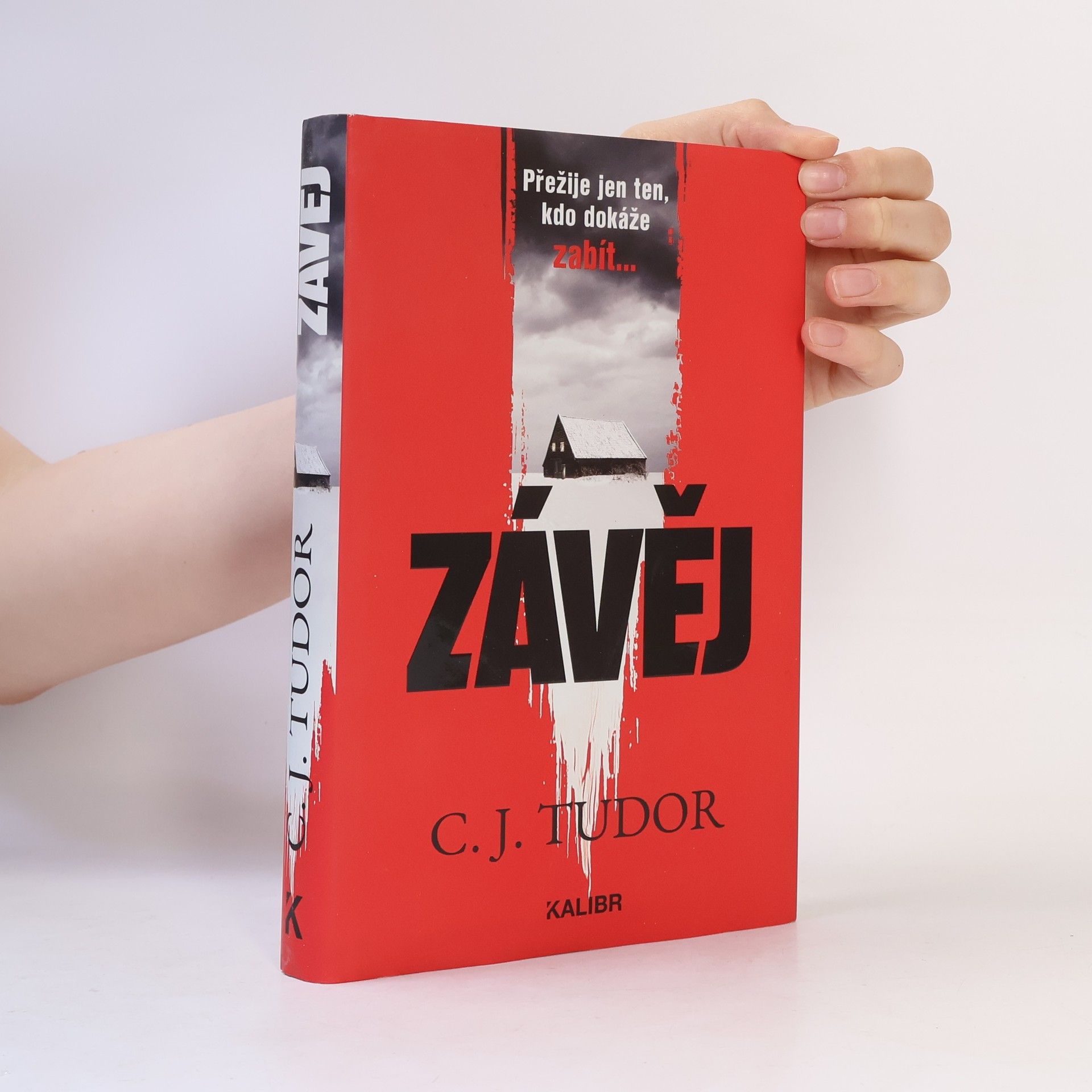 C. J. Tudor Závěj