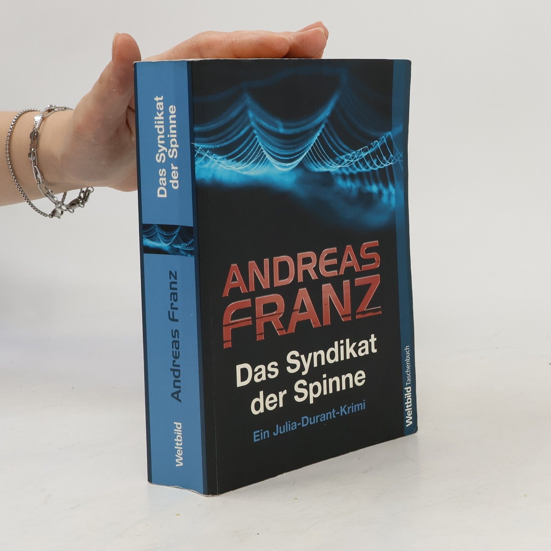 Das Syndikat der Spinne