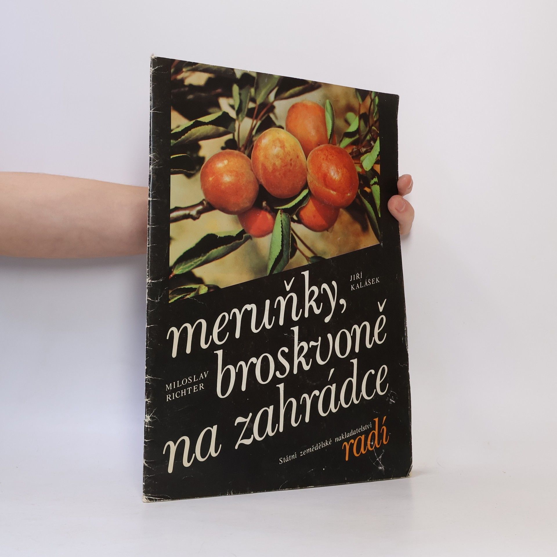 Meruňky, broskvoně na zahrádce