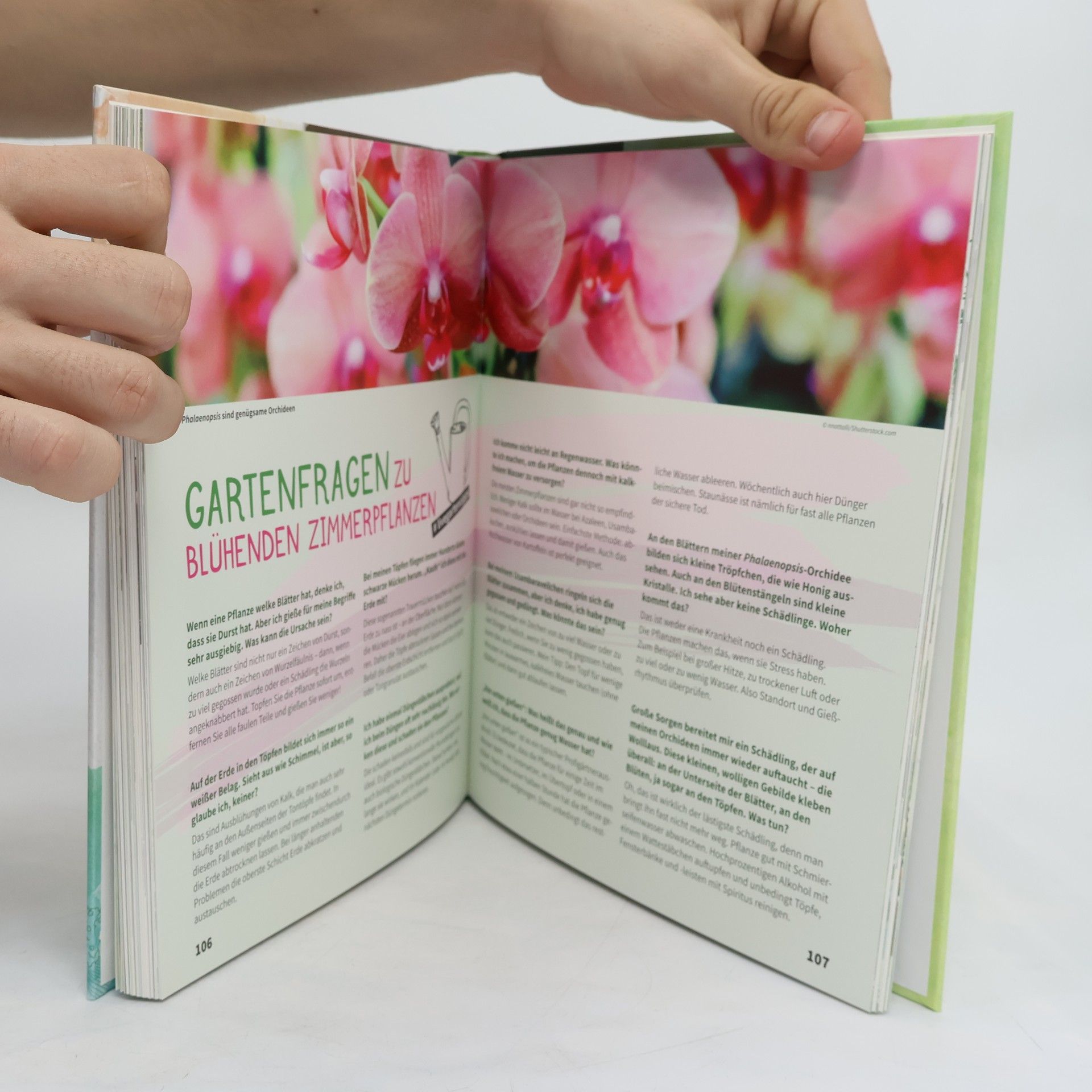 Karl Ploberger Garteln ohne Garten