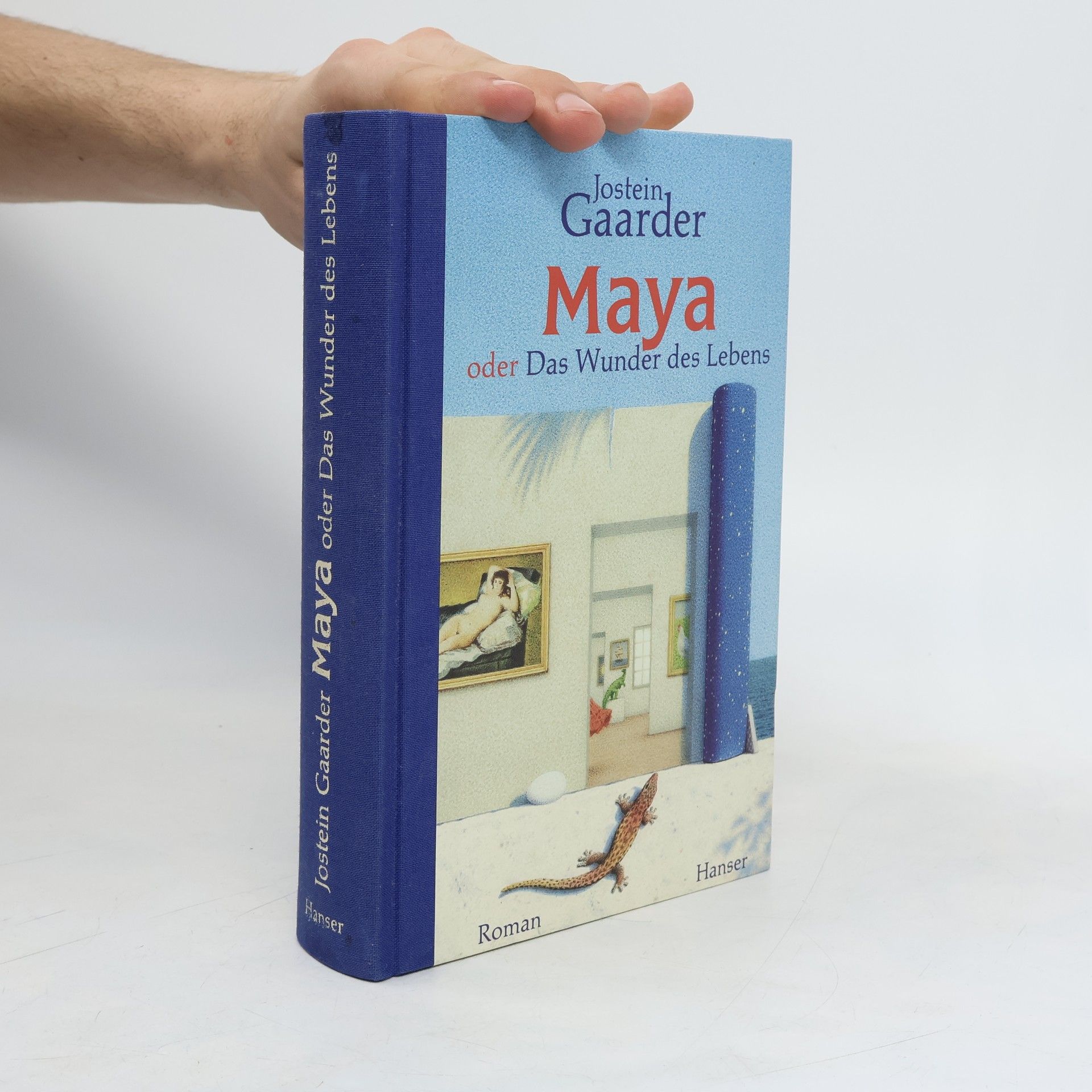 Jostein Gaarder Maya oder Das Wunder des Lebens