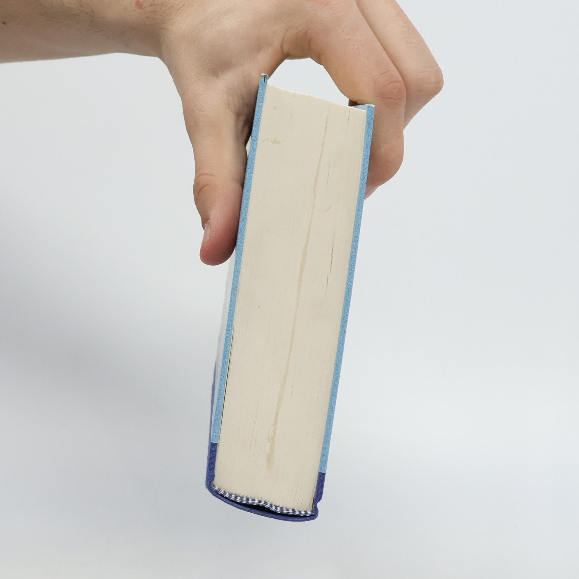 Jostein Gaarder Maya oder Das Wunder des Lebens