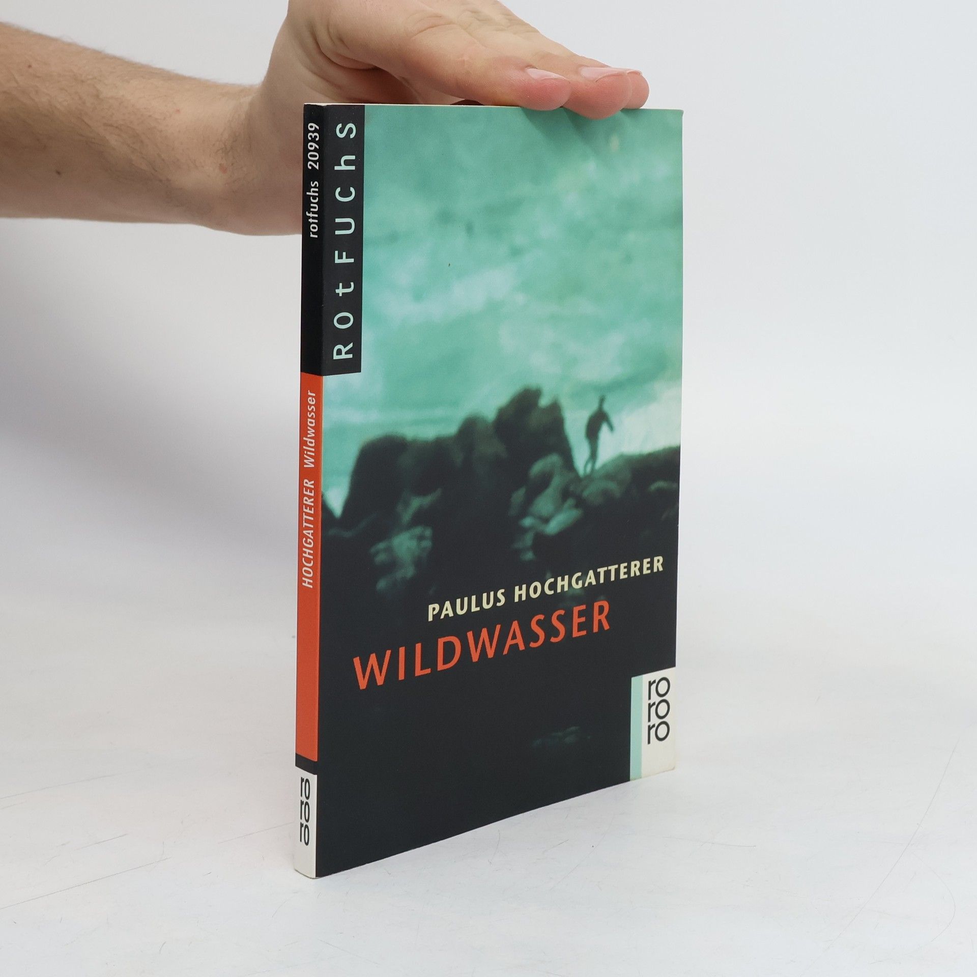 Paulus Hochgatterer Wildwasser