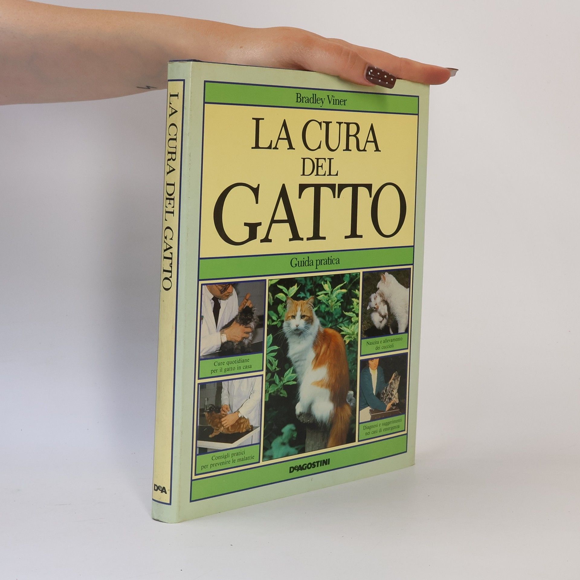 Conoscere gli animali: La cura del gatto