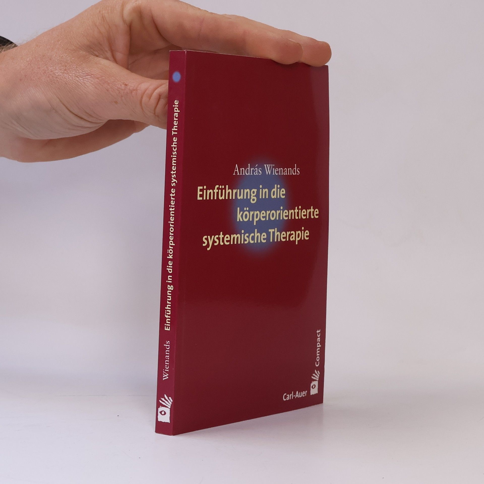 András Wienands Einführung in die körperorientierte systemische Therapie