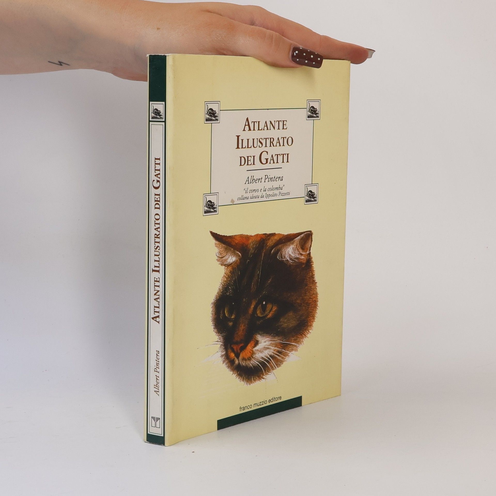 Il corvo e la colomba: Atlante illustrato dei gatti